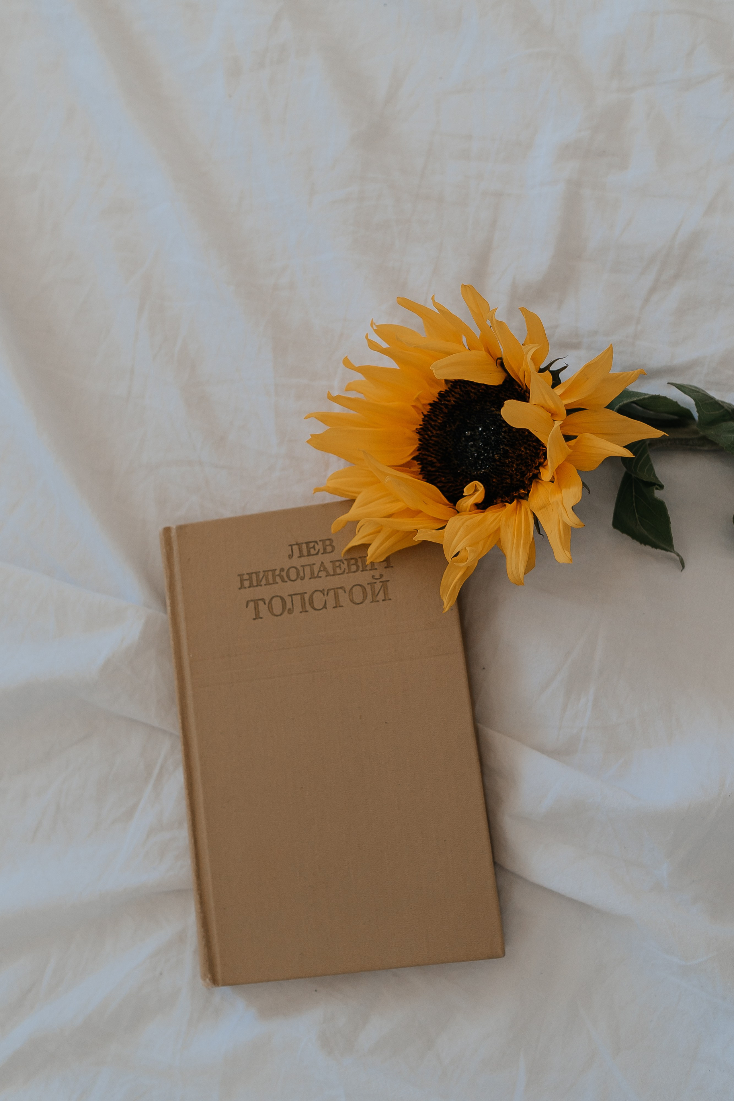 Фотосессия для двоих. Свадебный фотограф в Москве