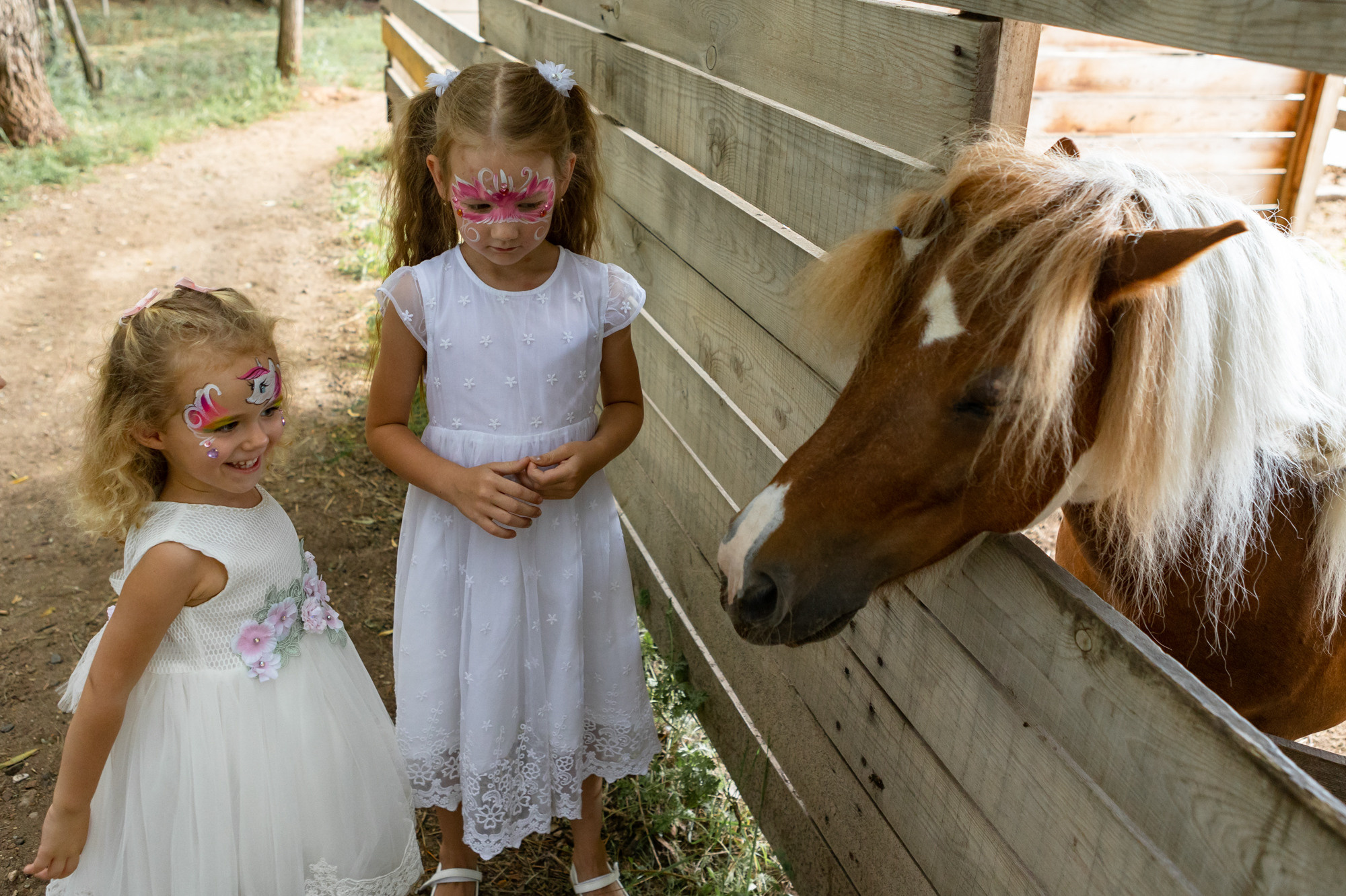 День Рождения в Воздухе. Фотограф в Оренбурге. Профессиональный фотограф