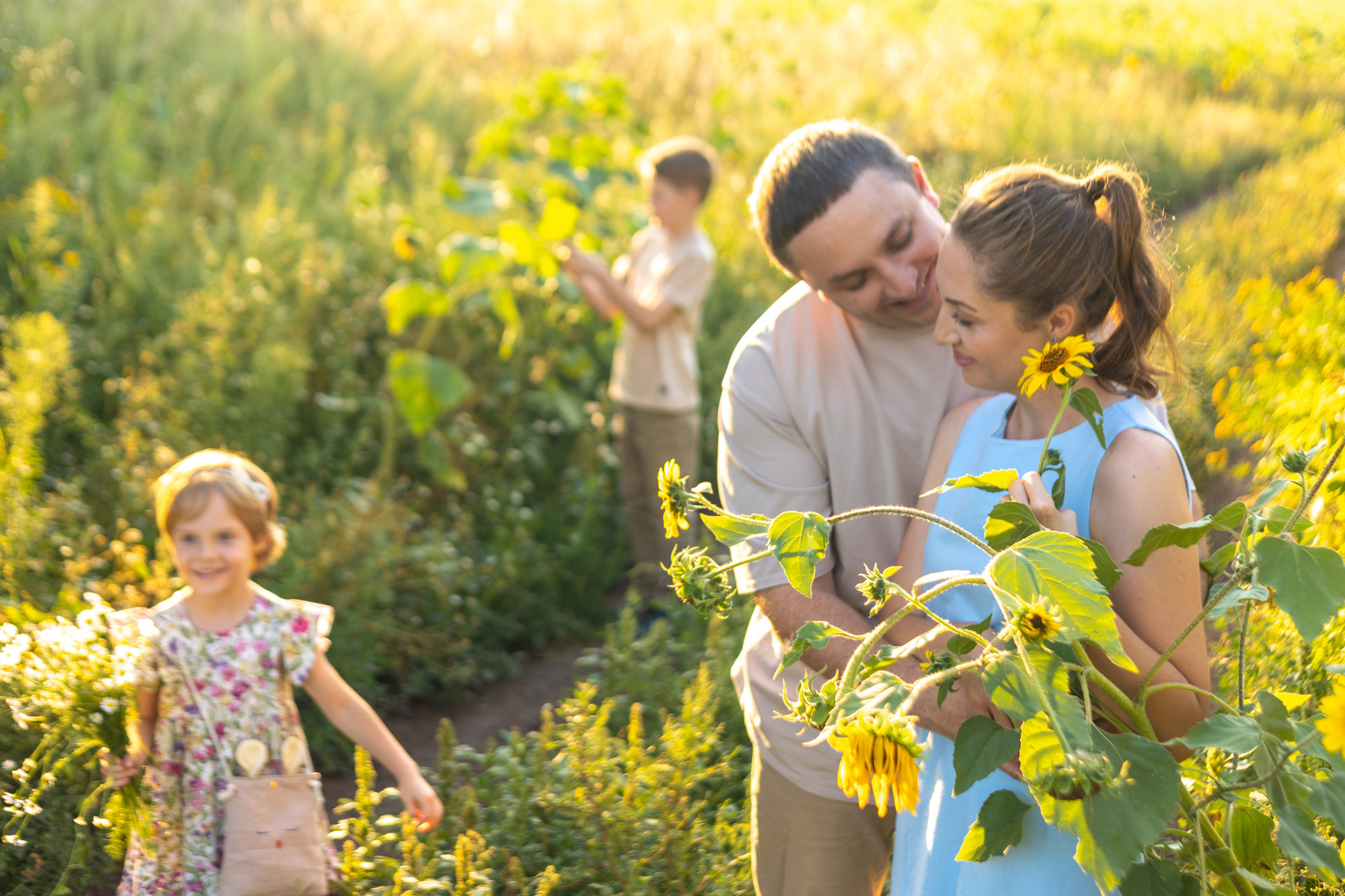 Фотосессия в подсолнухах. Фотограф в Оренбурге. Профессиональный фотограф