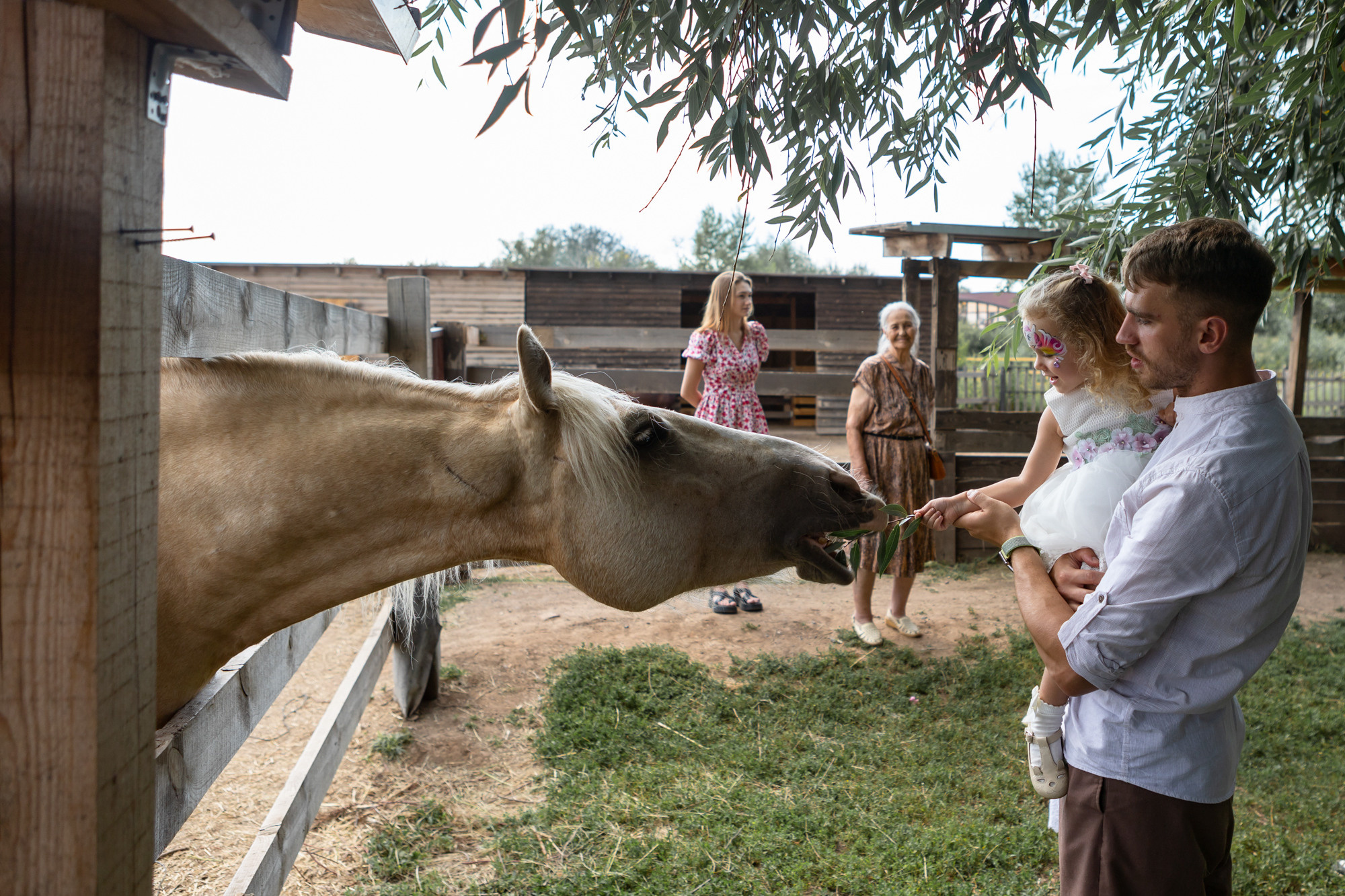 День Рождения в Воздухе. Фотограф в Оренбурге. Профессиональный фотограф