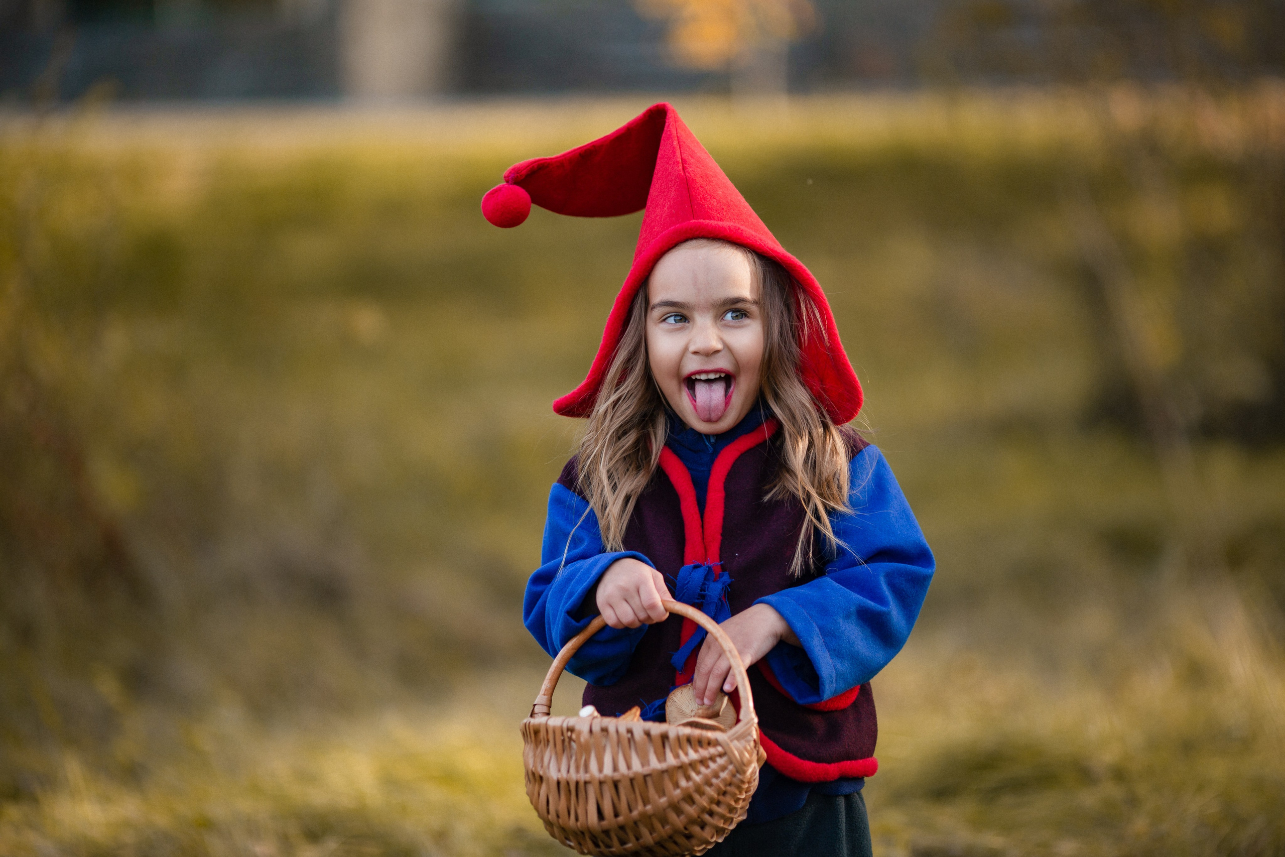 Лесные гномы