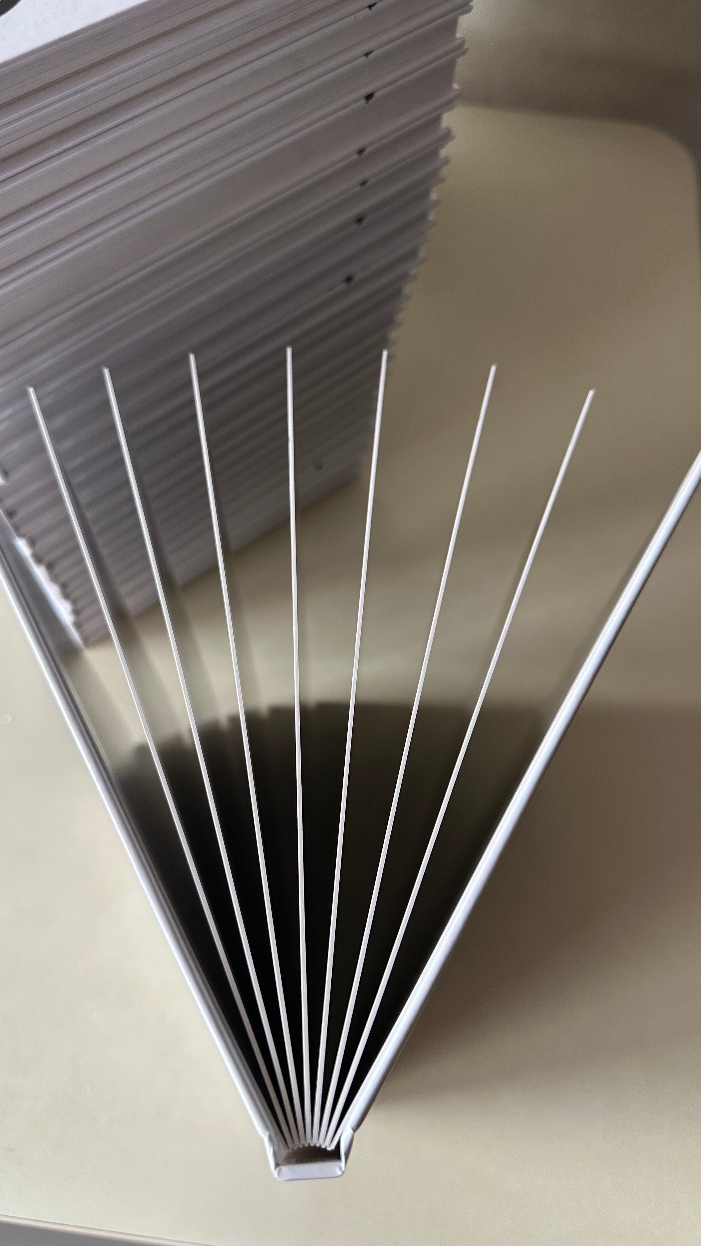 9 -11 кл. Фотограф г. Пенза — Светлана Зойкина