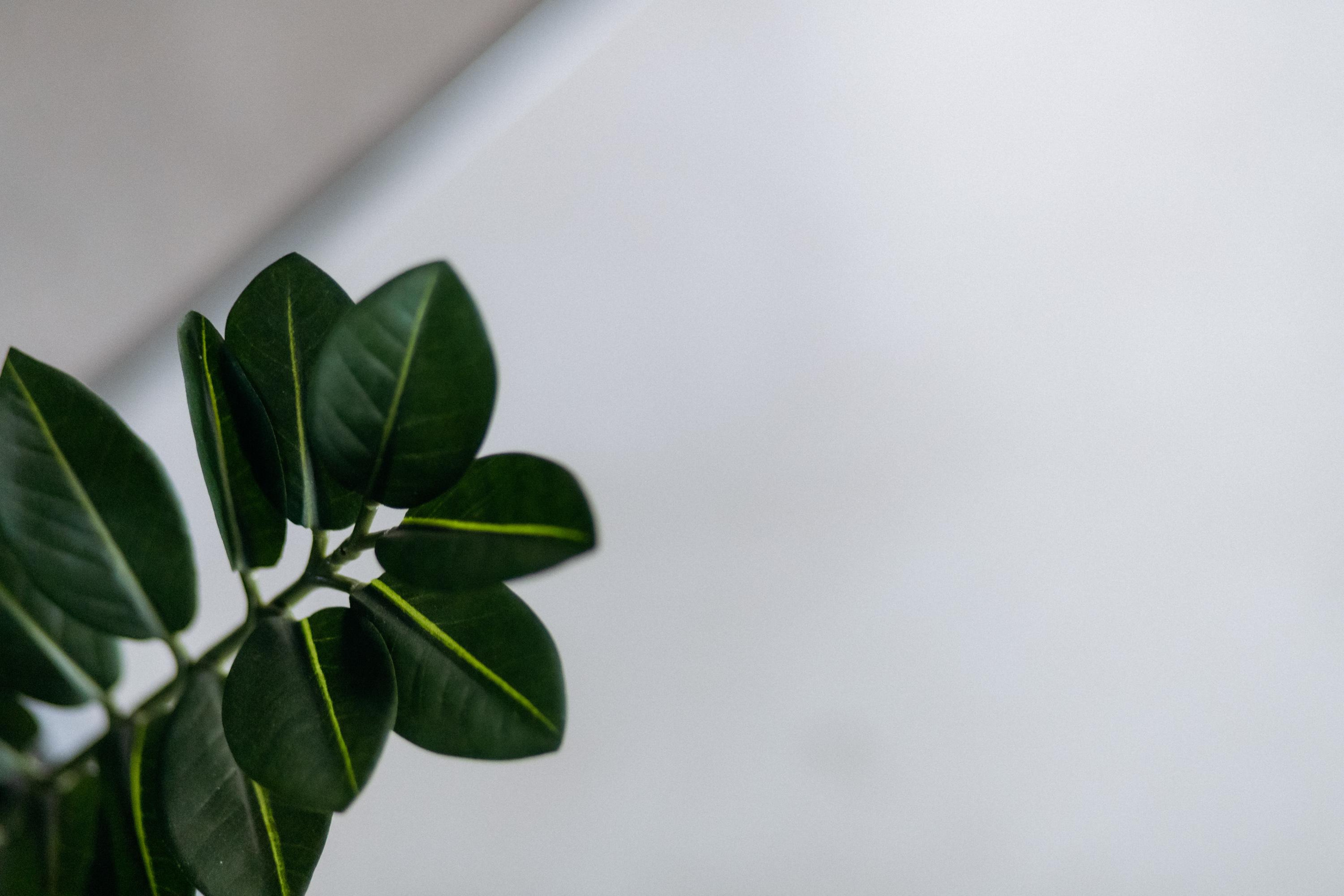 КРАН. СВОИ. ФОТООТЧЕТЫ-СОБЫТИЯ-МЕСТА