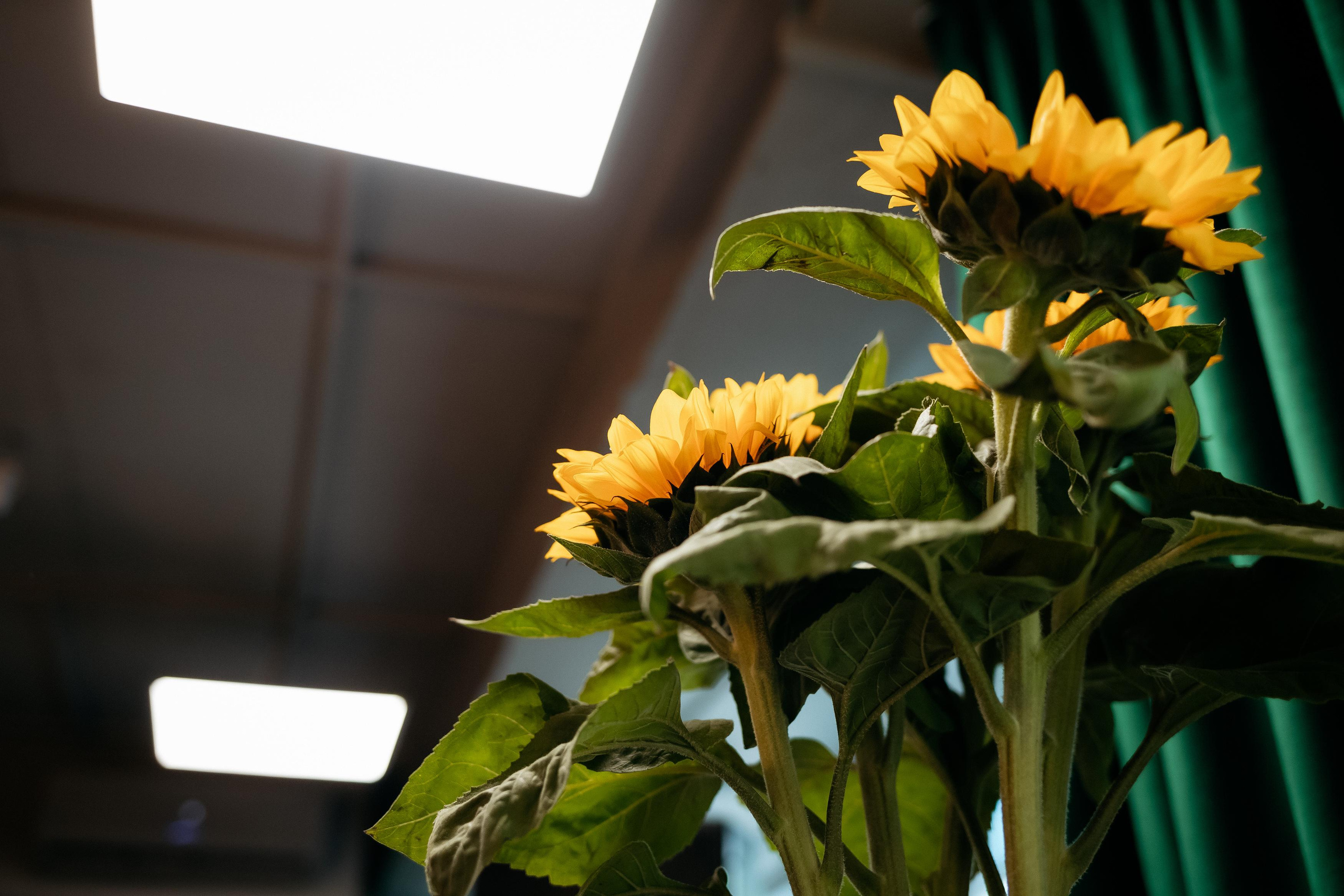 APARTMENT | MALINA | INTERIOR TOUR. СВОИ. ФОТООТЧЕТЫ-СОБЫТИЯ-МЕСТА