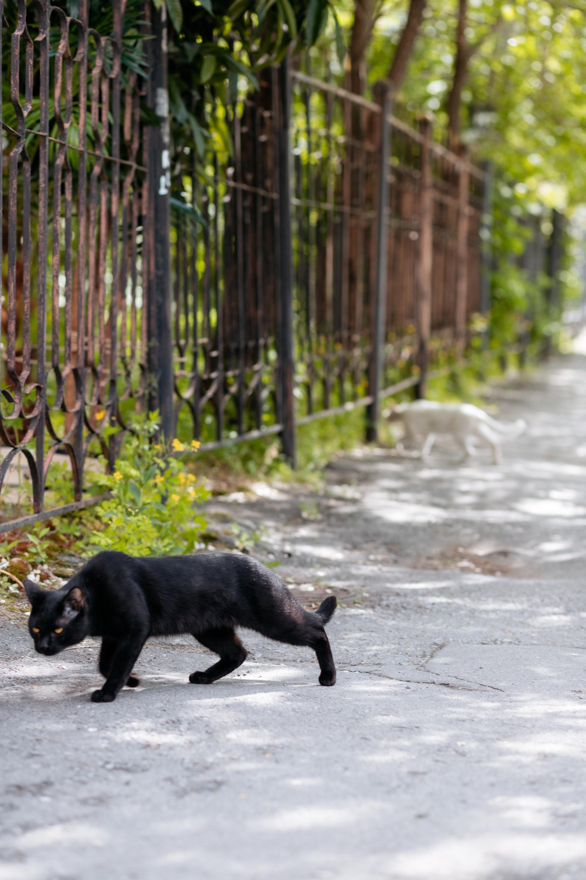 WALK IN DAY. СВОИ. ФОТООТЧЕТЫ-СОБЫТИЯ-МЕСТА