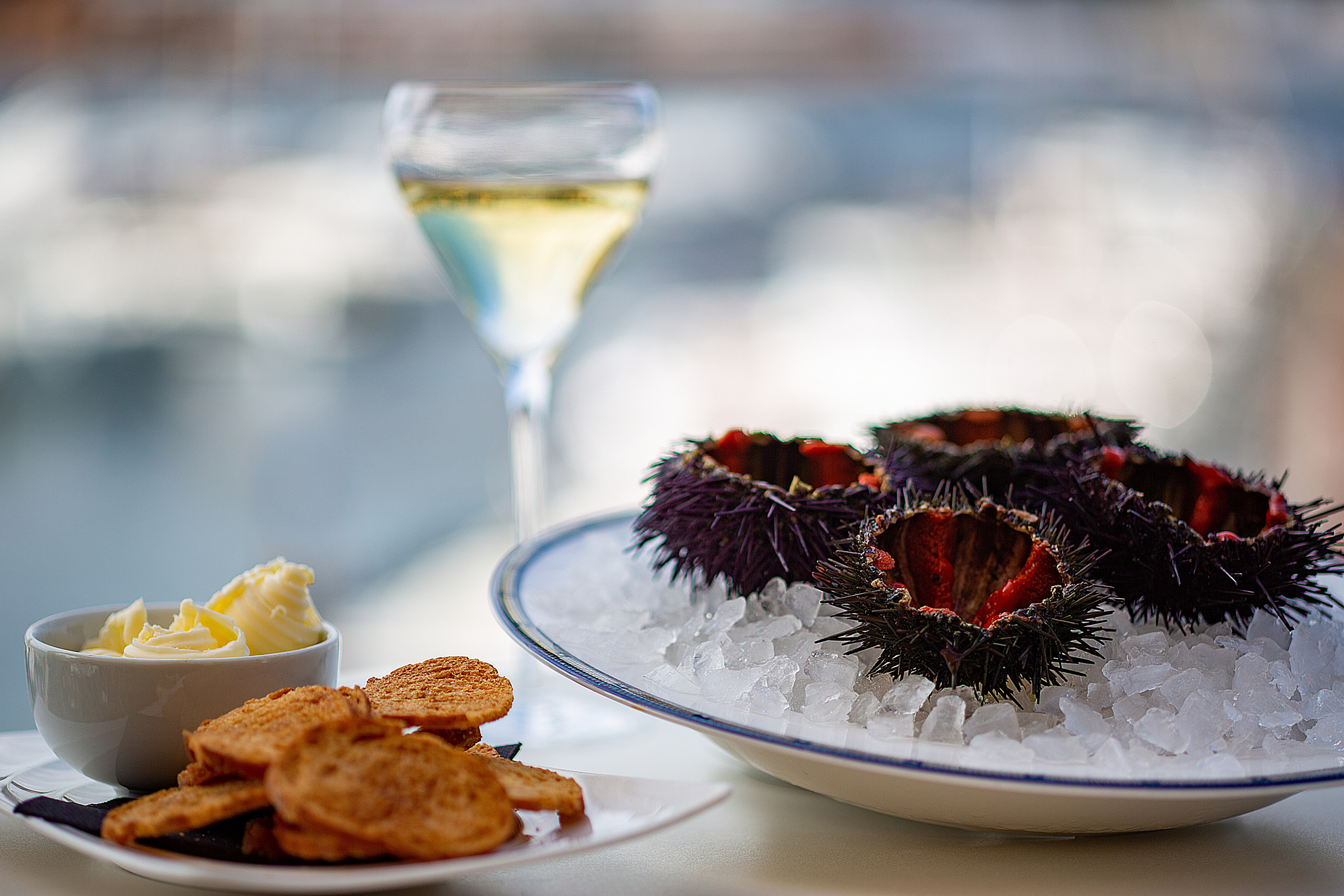 Platos y Creación Culinaria. Food fotógrafo y videógrafo Rost Kutuzov