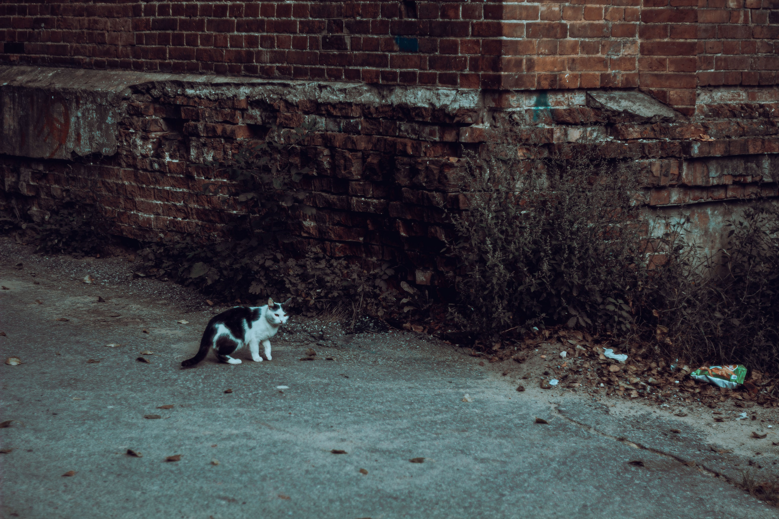 Общага в России. Фотограф Москва, портрет, стрит, репортаж. Художественная фотосессия