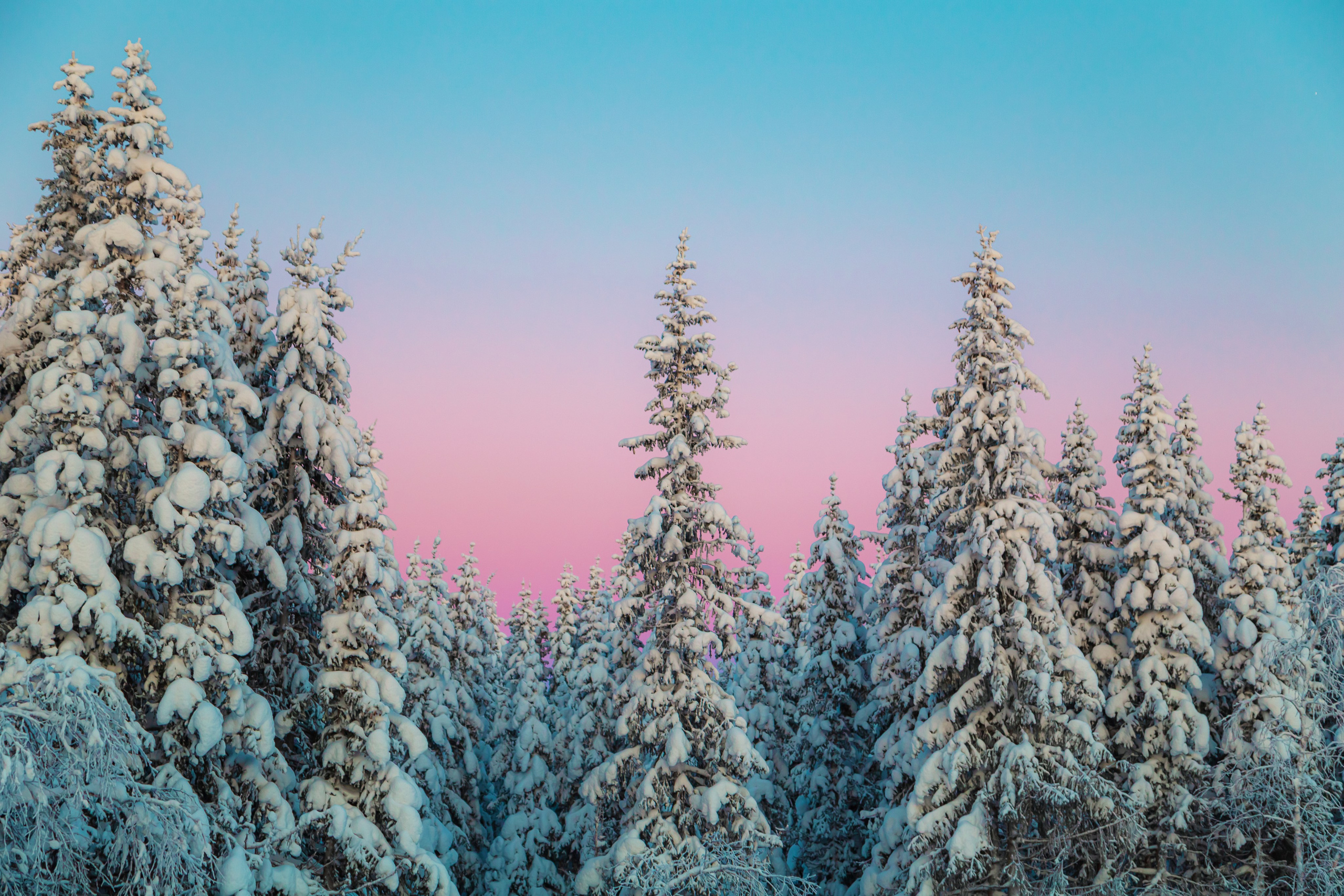 Тревел-фотограф Елизавета Ларионова