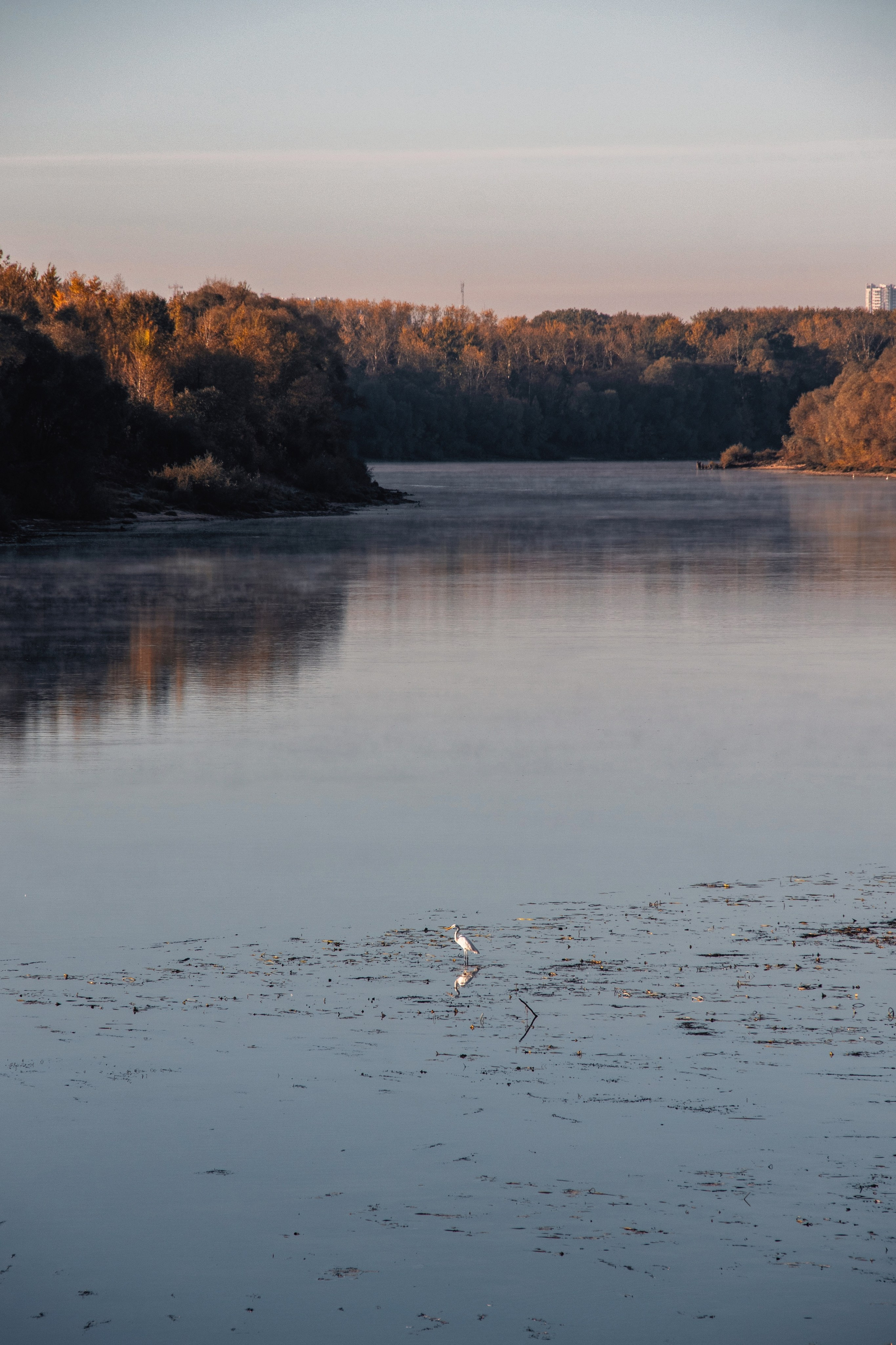 Волшебное утро в первый день октября. С любовью, фотохудожник