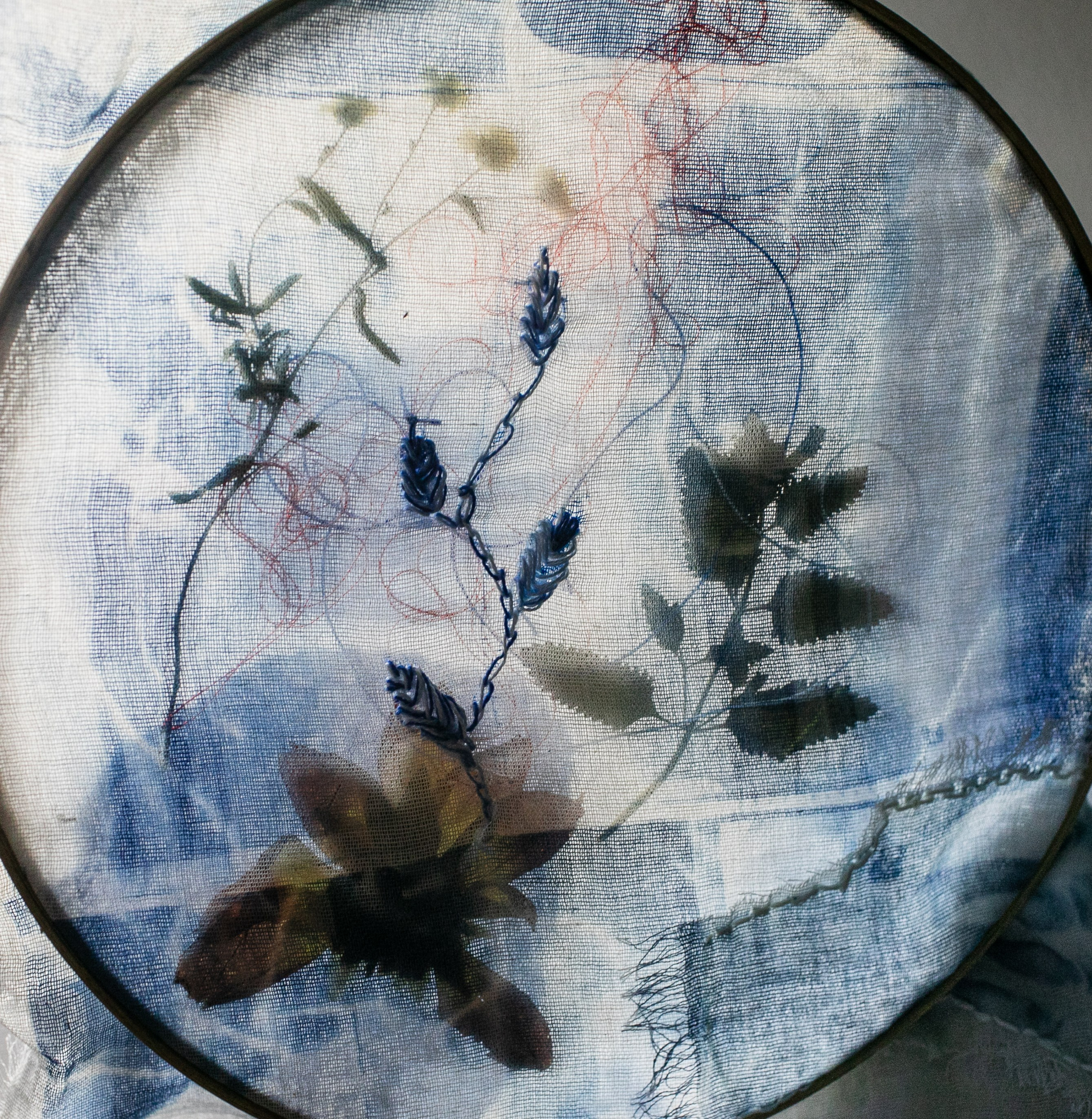 CYANOTYPE. CONTEMPORARY ARTIST OLGA ANDRIYASH