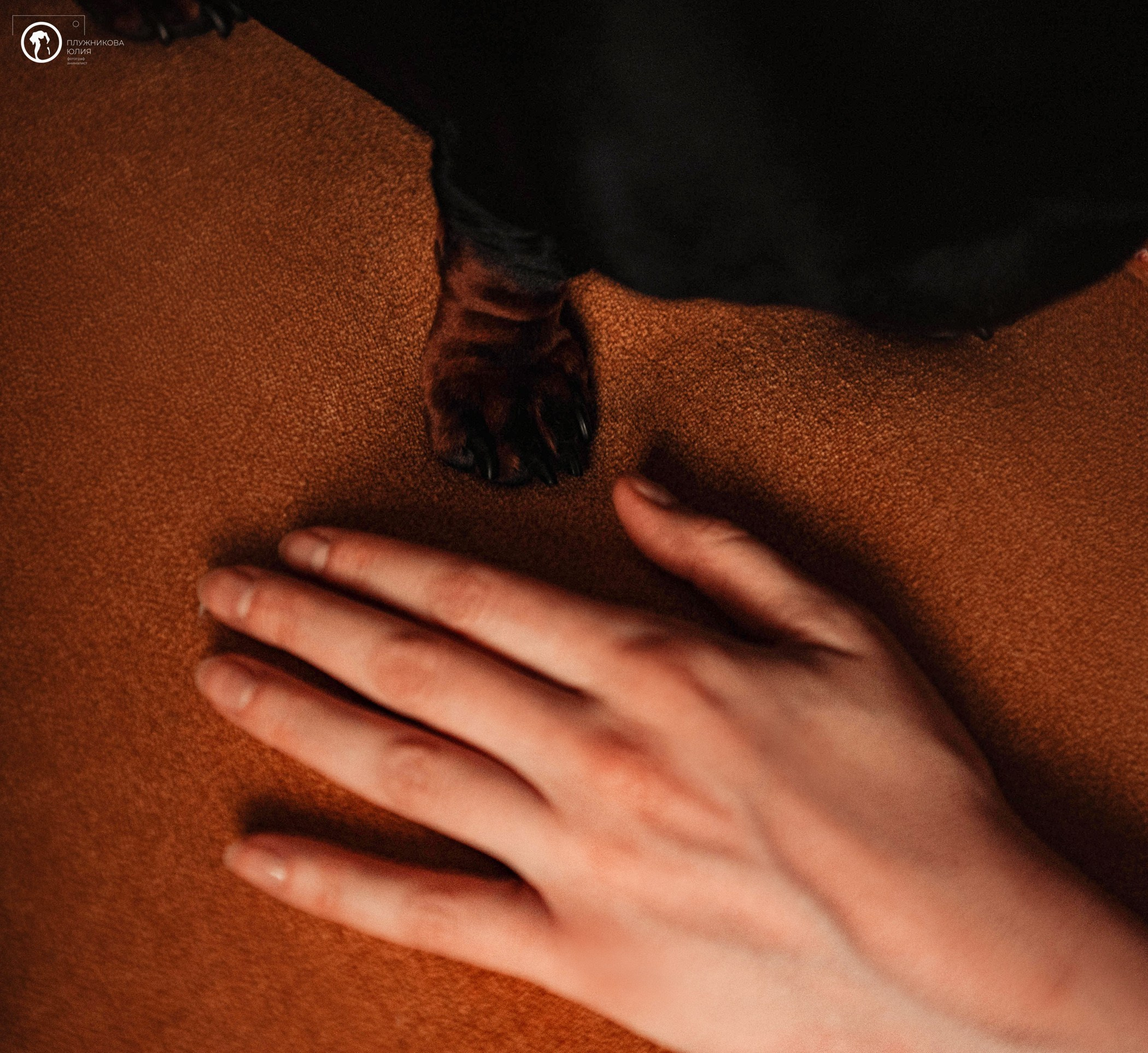 Таня и Грант. Фотограф — анималист Саратов/Москва|Плужникова Юлия