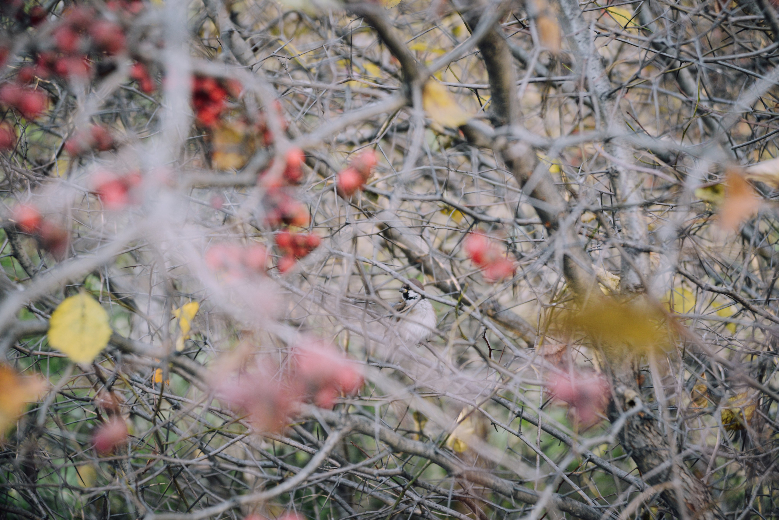Октябрь в объективе: фотографии осеннего сезона