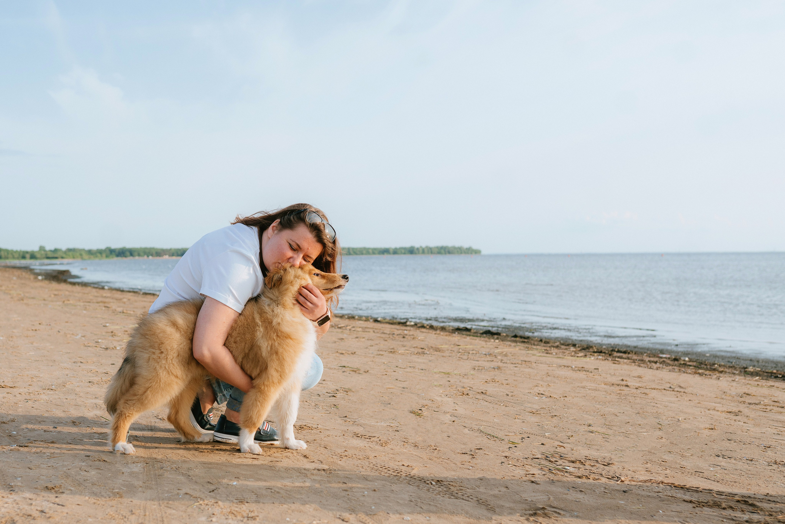 Фотосессия со щенками колли. Фотограф анималист в Спб недорого Олеся Майорова