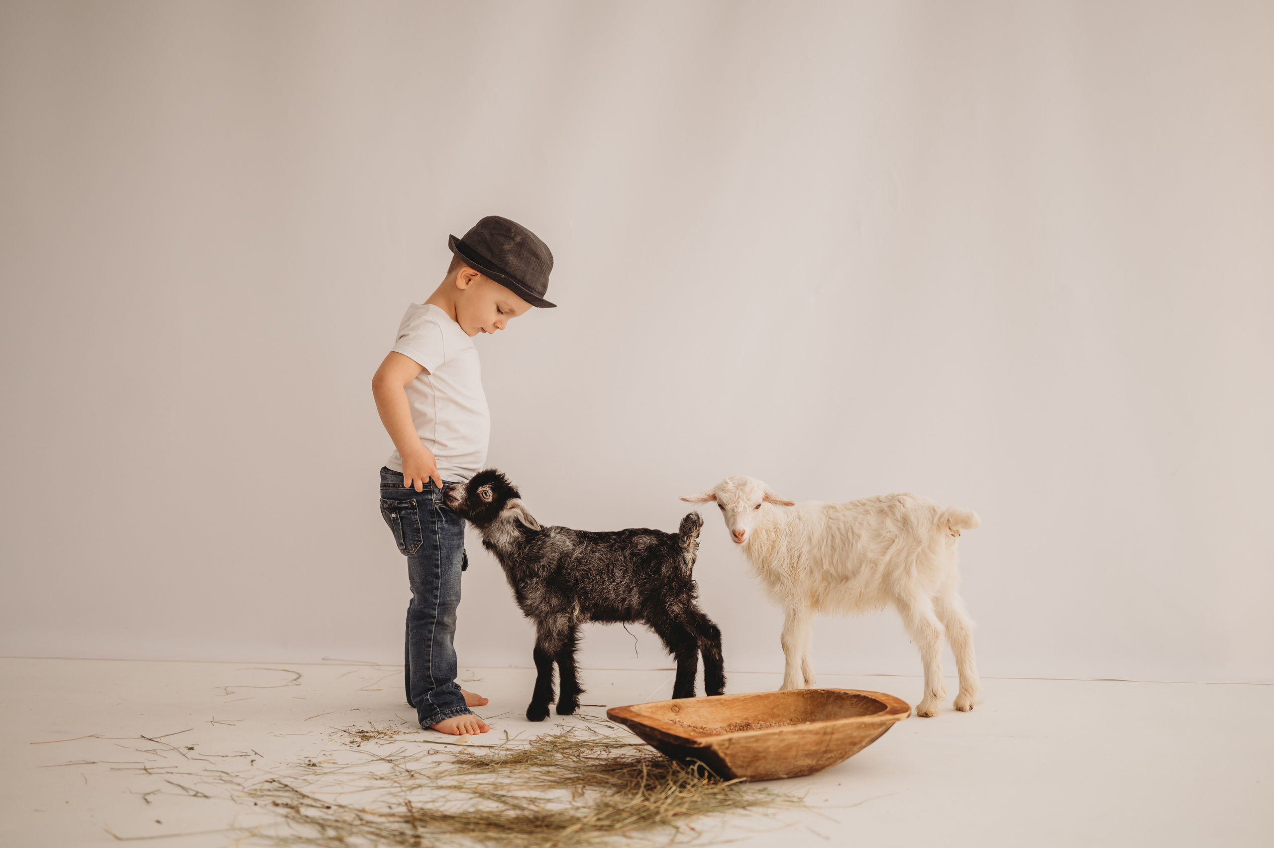 Арсюша и козленок. Детский и семейный фотограф Ирина Гладких