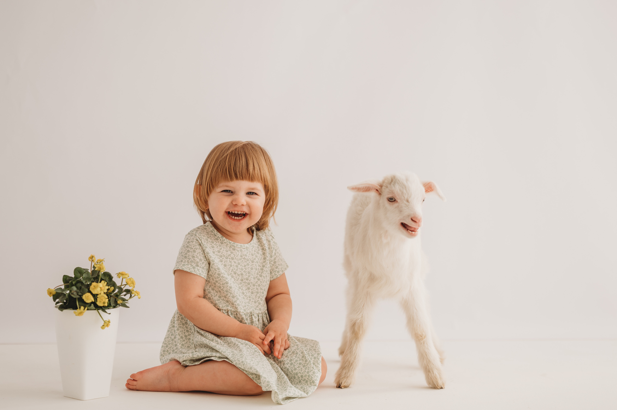 Полинка и козленок. Детский и семейный фотограф Ирина Гладких