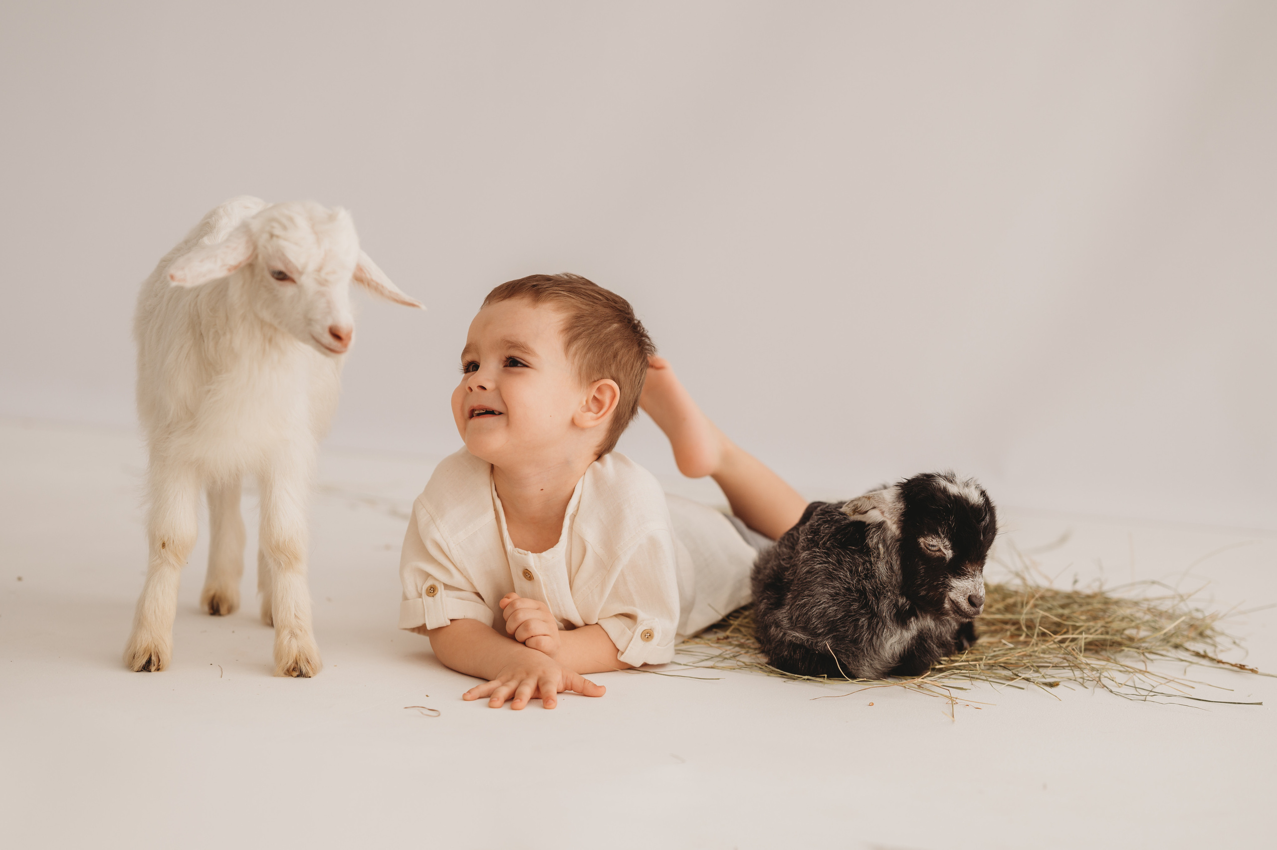 Кирюша и козлик. Детский и семейный фотограф Ирина Гладких