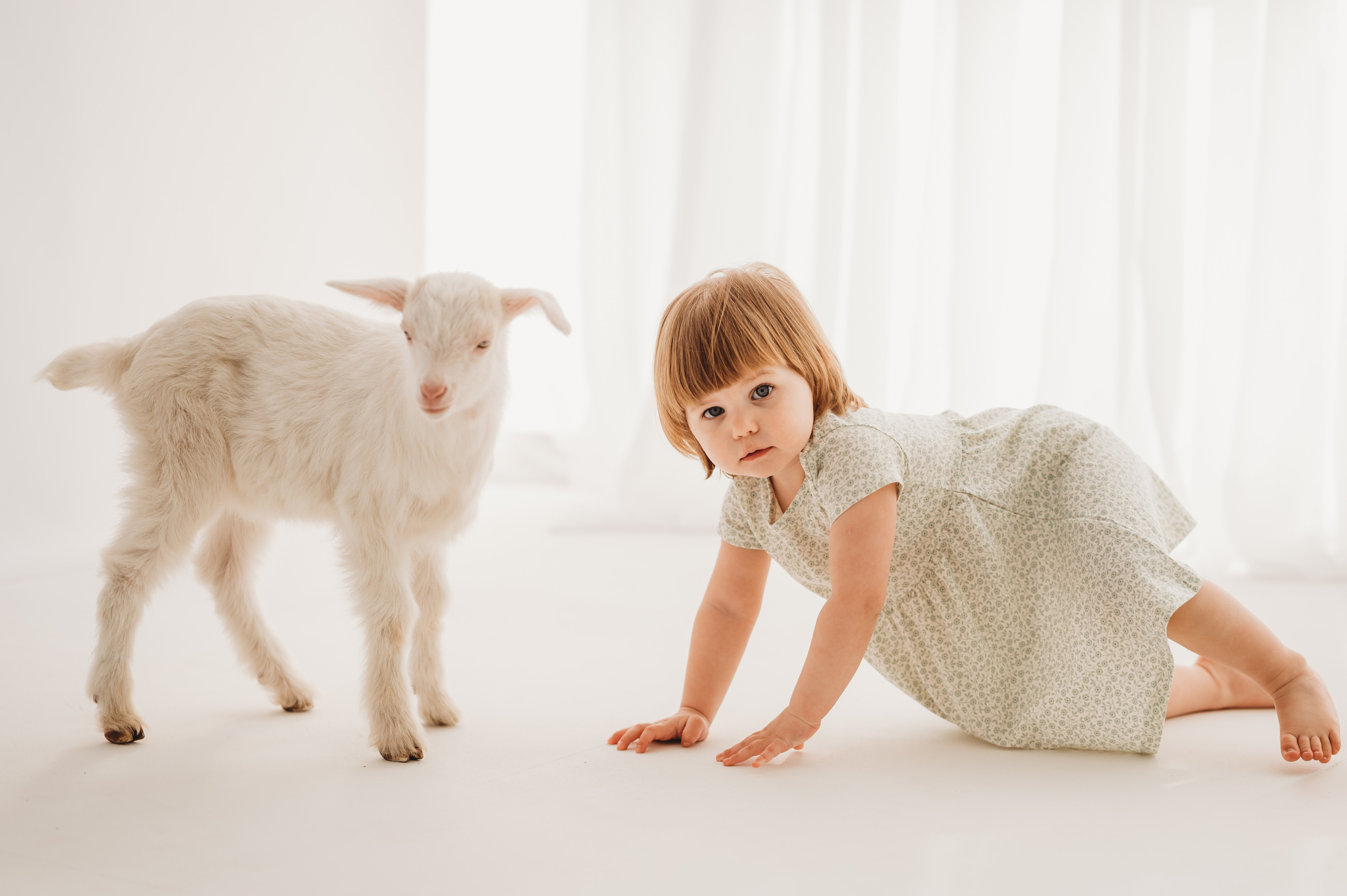 Полинка и козленок. Детский и семейный фотограф Ирина Гладких