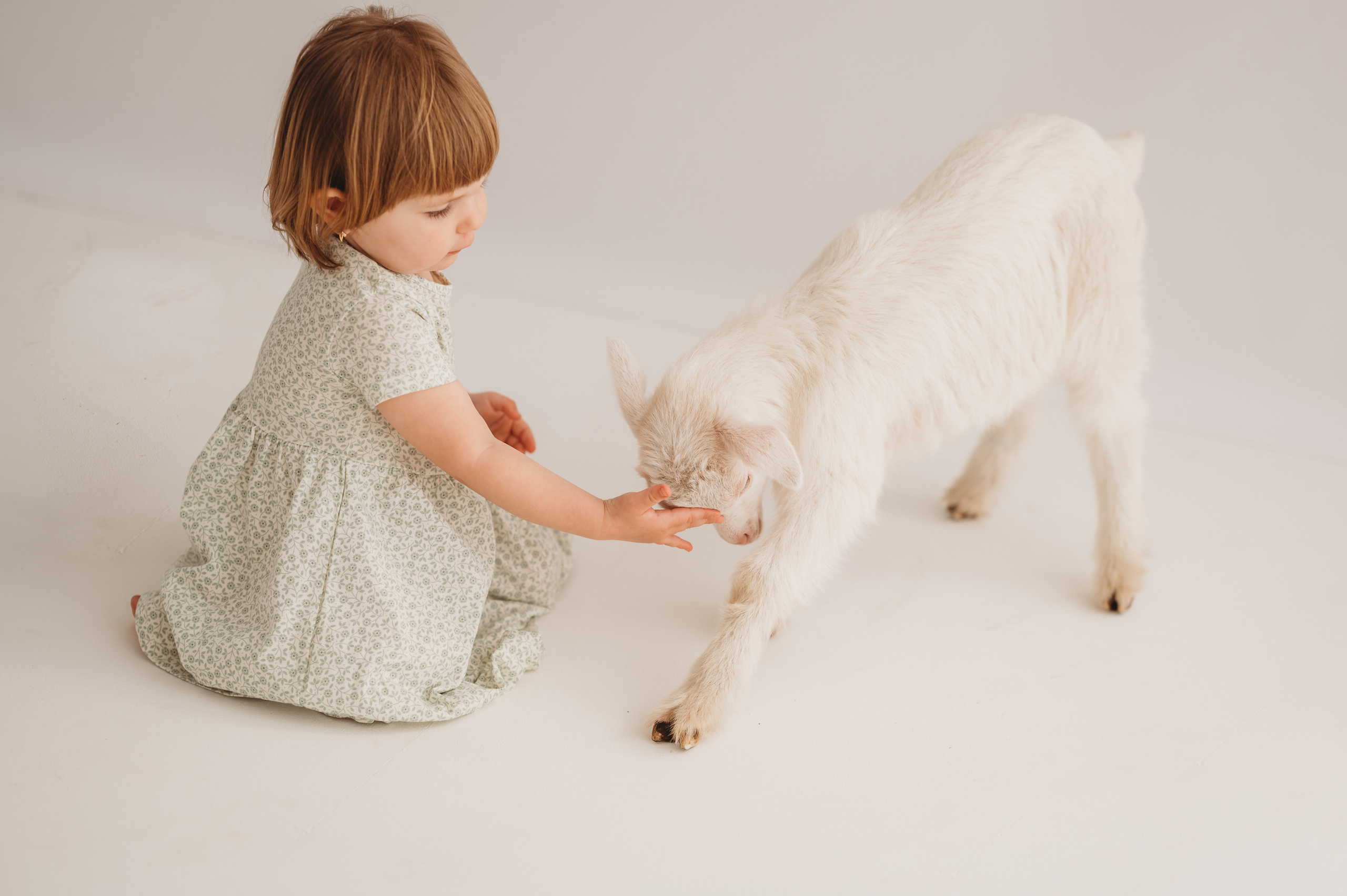 Полинка и козленок. Детский и семейный фотограф Ирина Гладких