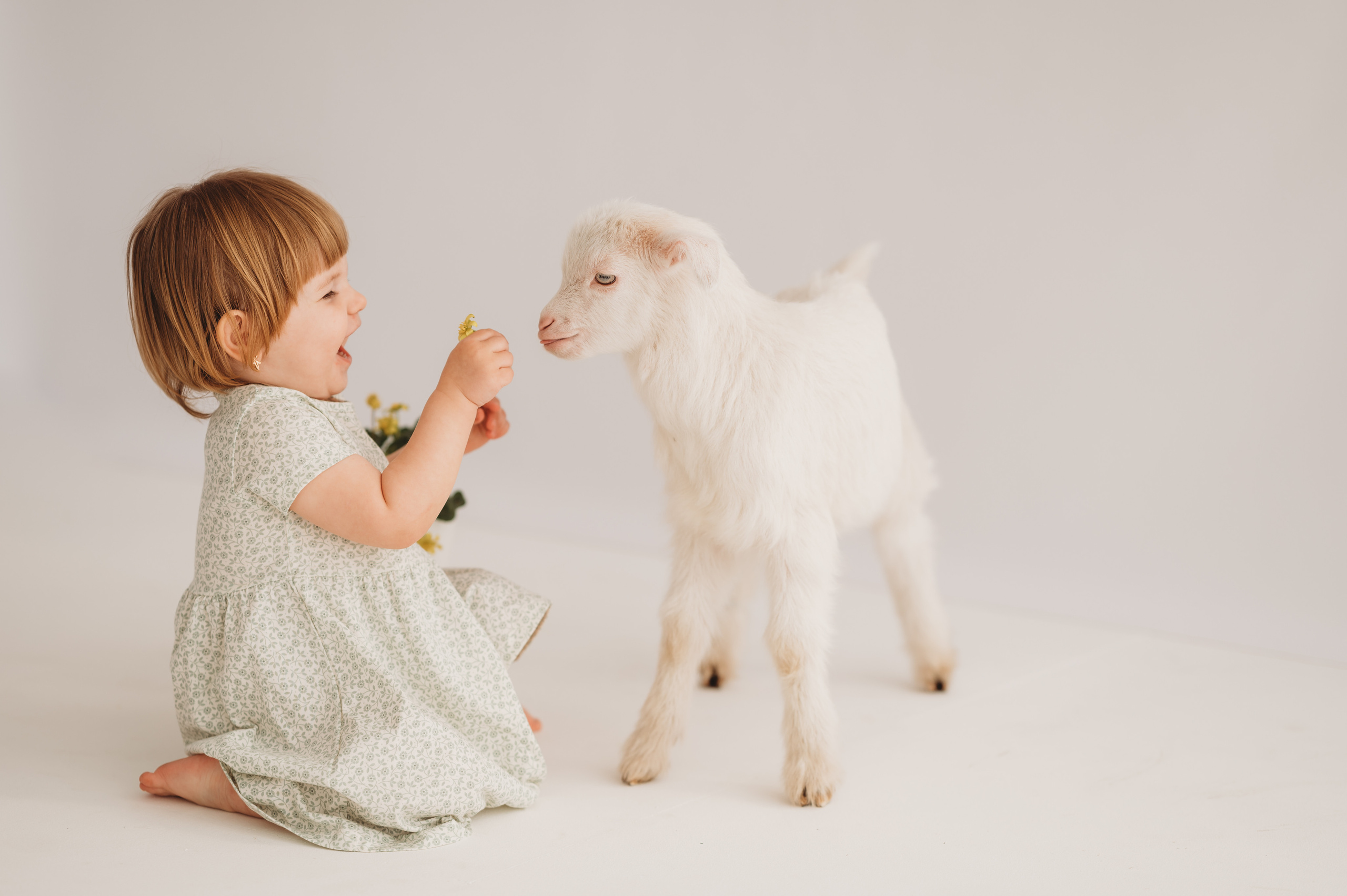 Полинка и козленок. Детский и семейный фотограф Ирина Гладких