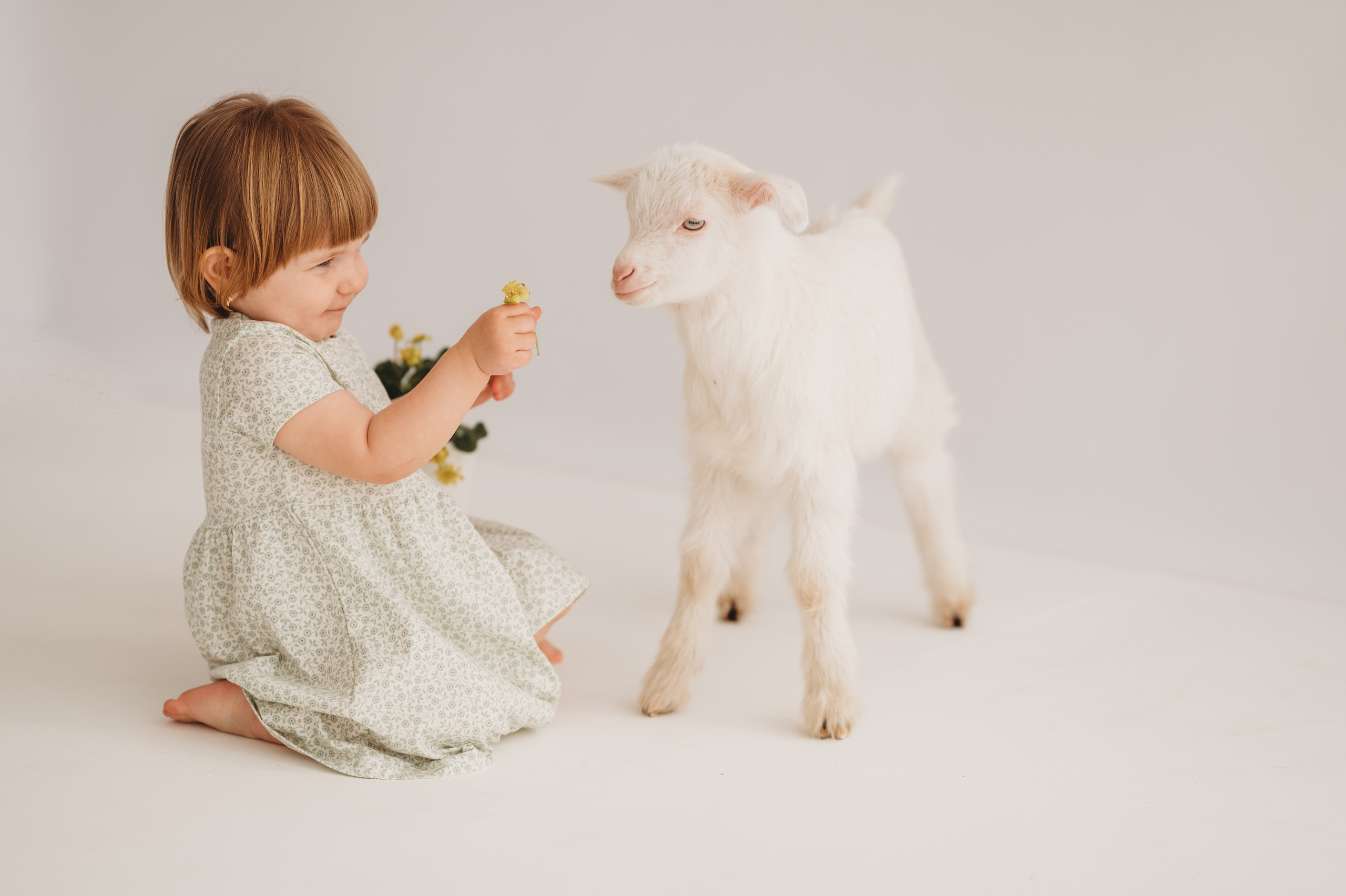Полинка и козленок. Детский и семейный фотограф Ирина Гладких