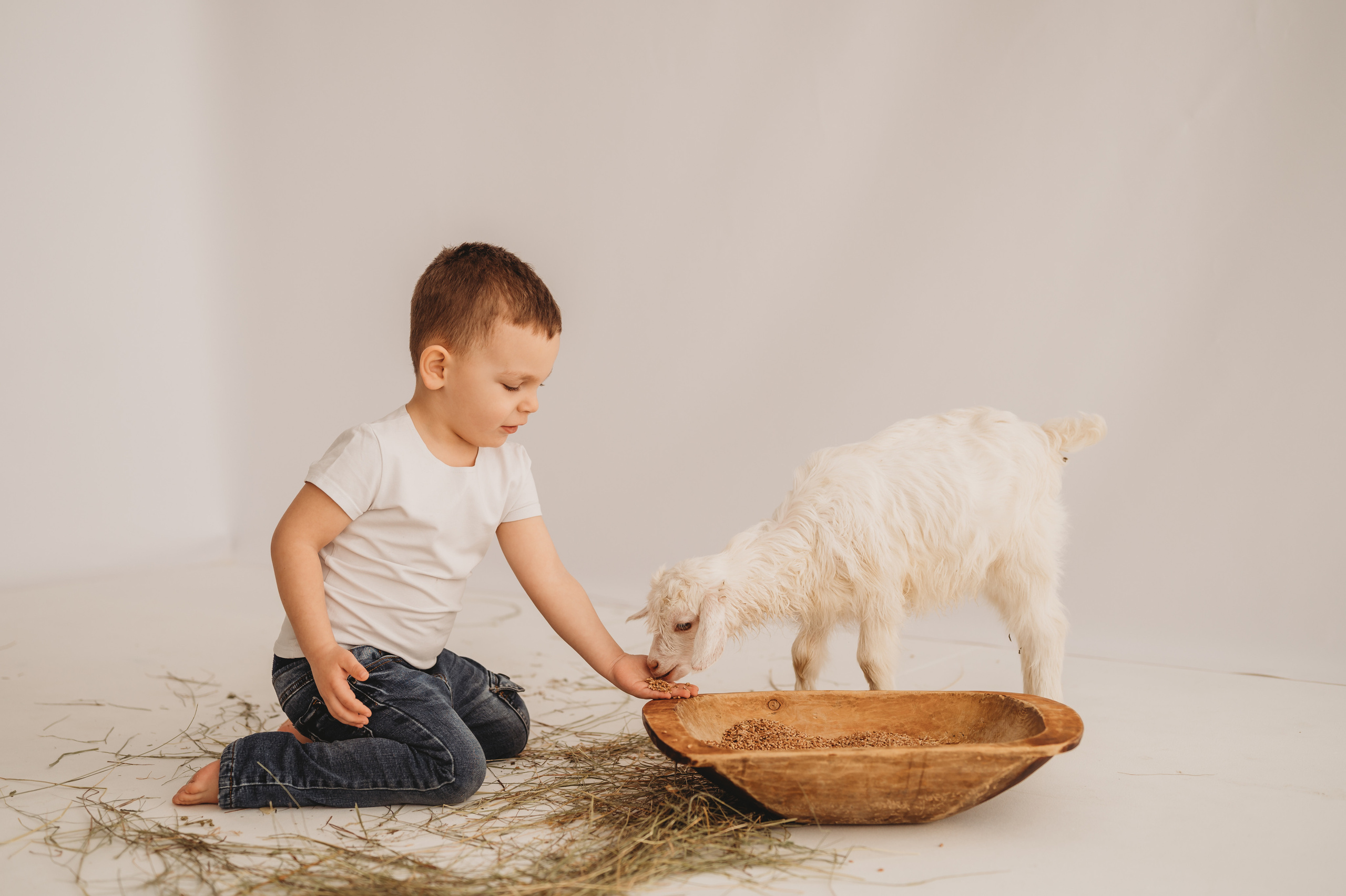 Арсюша и козленок. Детский и семейный фотограф Ирина Гладких