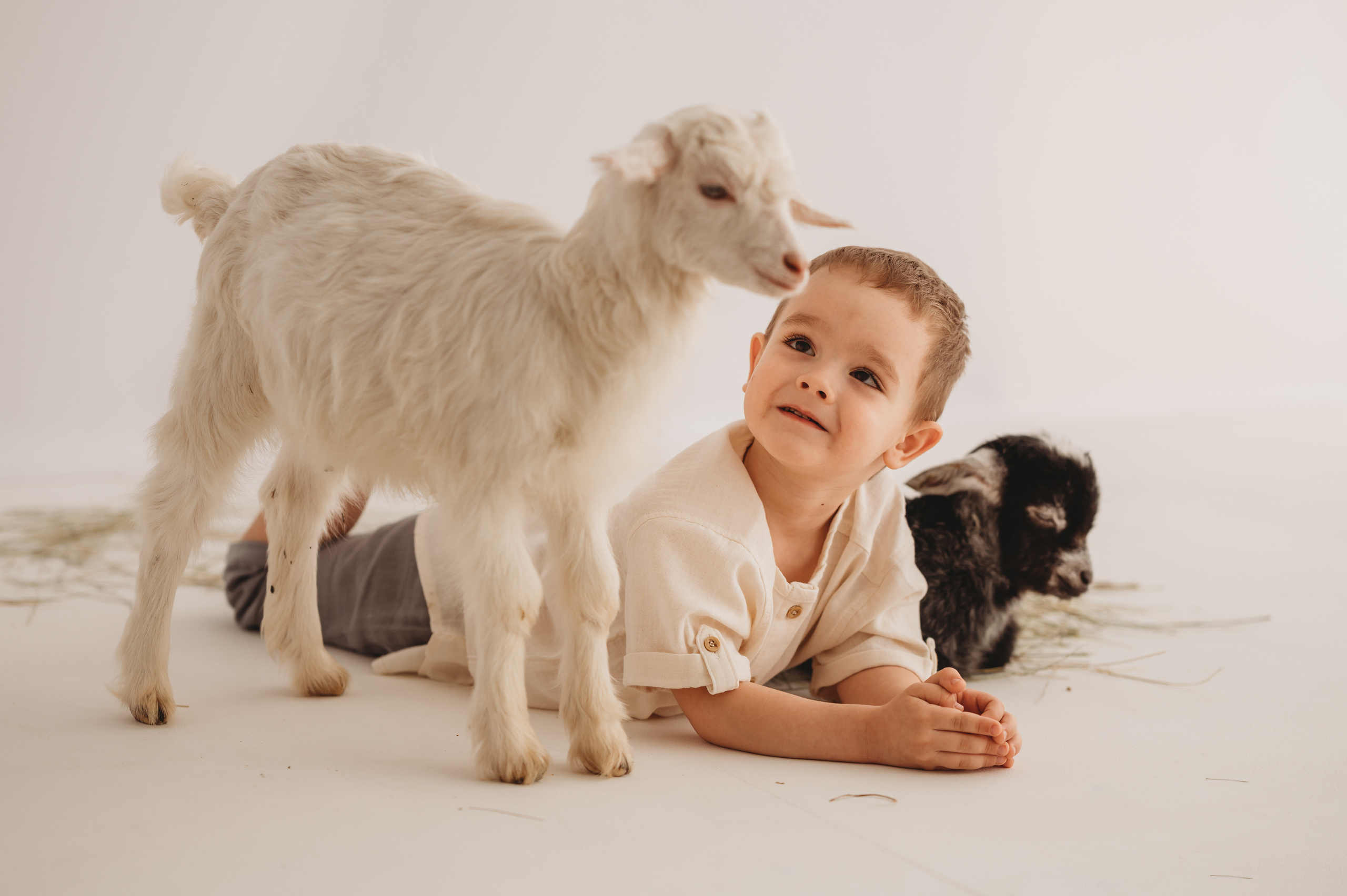 Кирюша и козлик. Детский и семейный фотограф Ирина Гладких