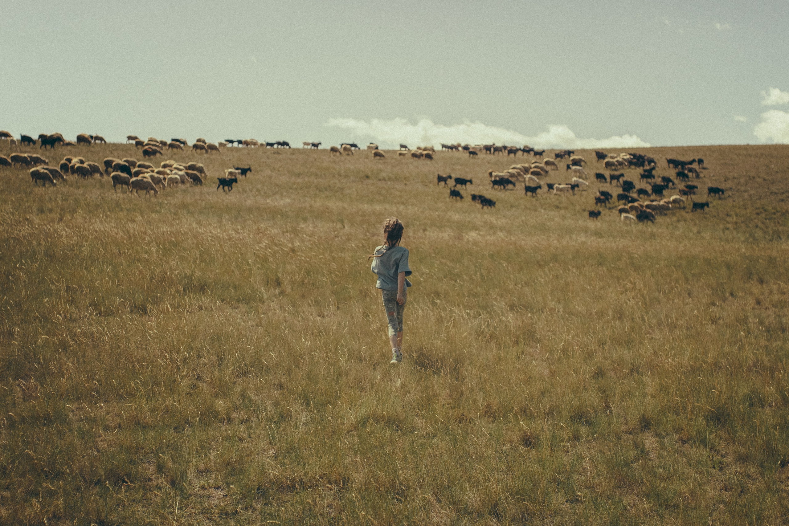 Семейный фотограф в Новосибирске Екатерина Сафронова