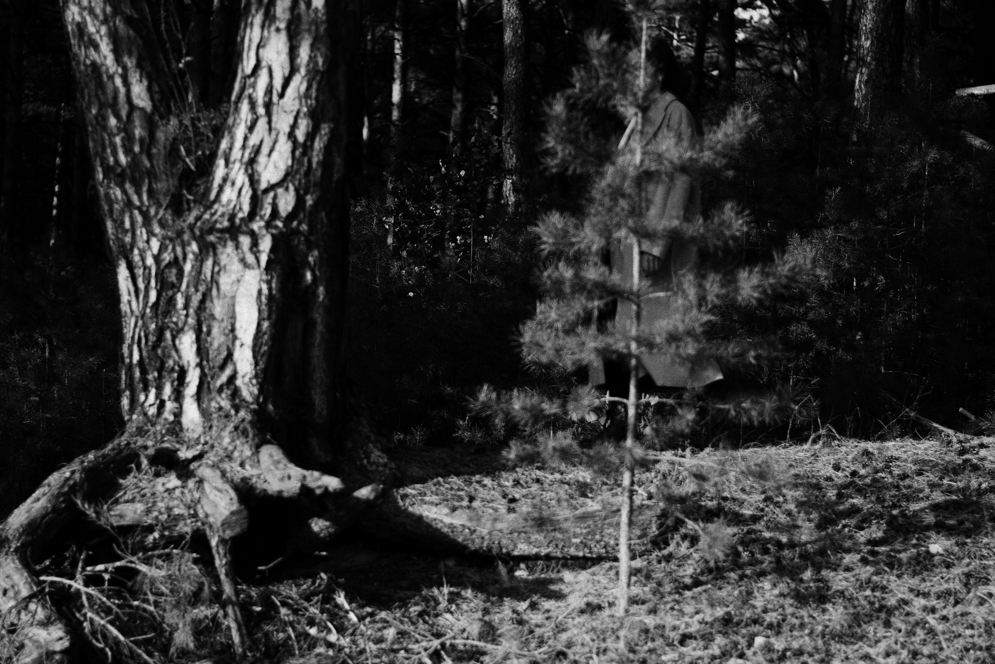 Индивидуальная фотосессия «Следуя за светом» — Тюмень. Фотограф Дарья Мустафина, Тюмень