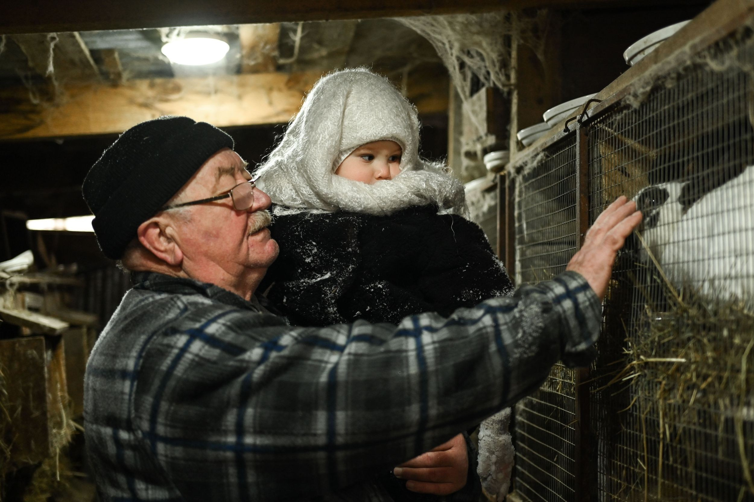 Услуги. Фотограф Дмитров Катерина Дубровская