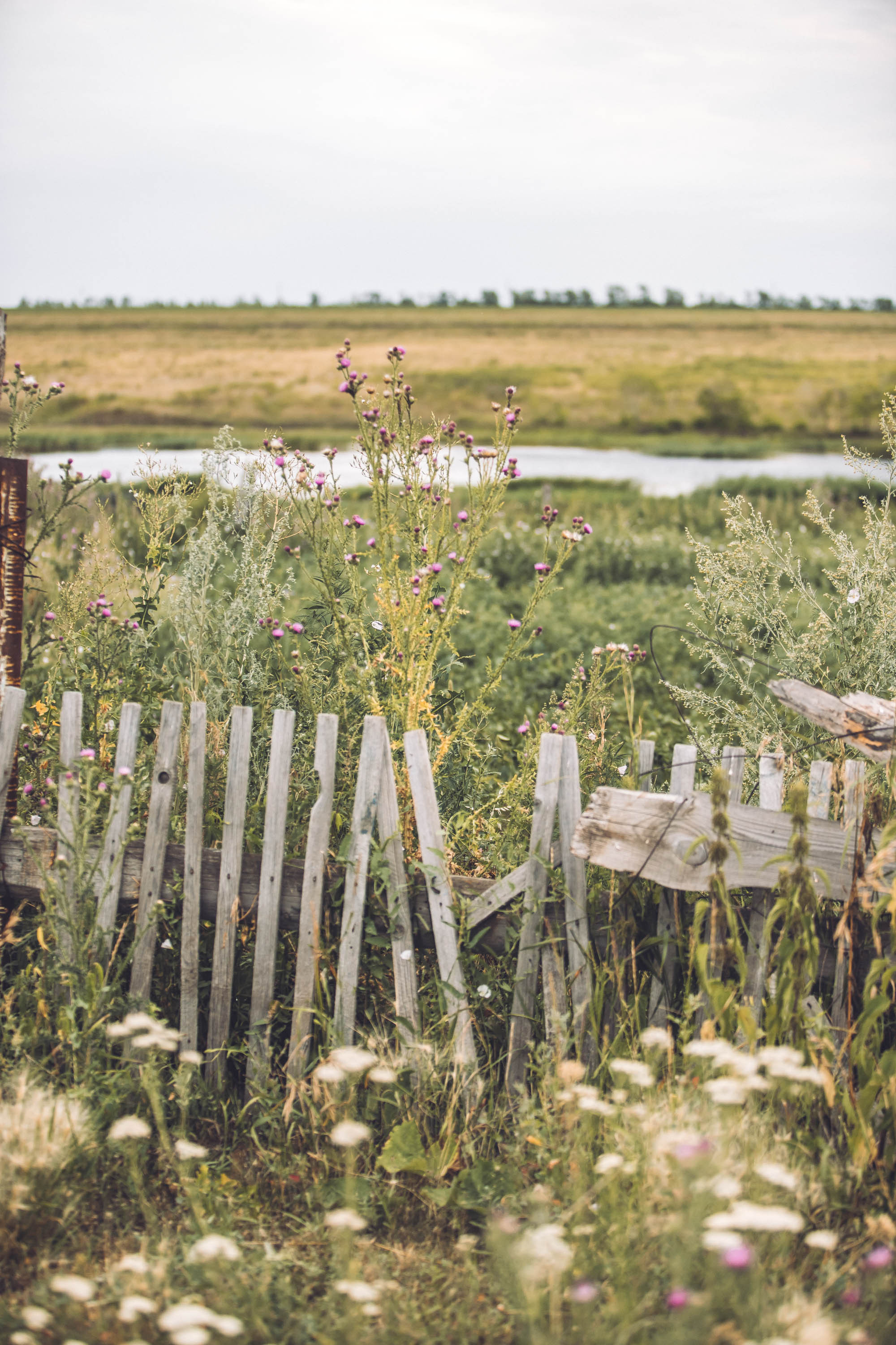 Деревенская жизнь. Фотограф — художник в Москве Васильева Юлия