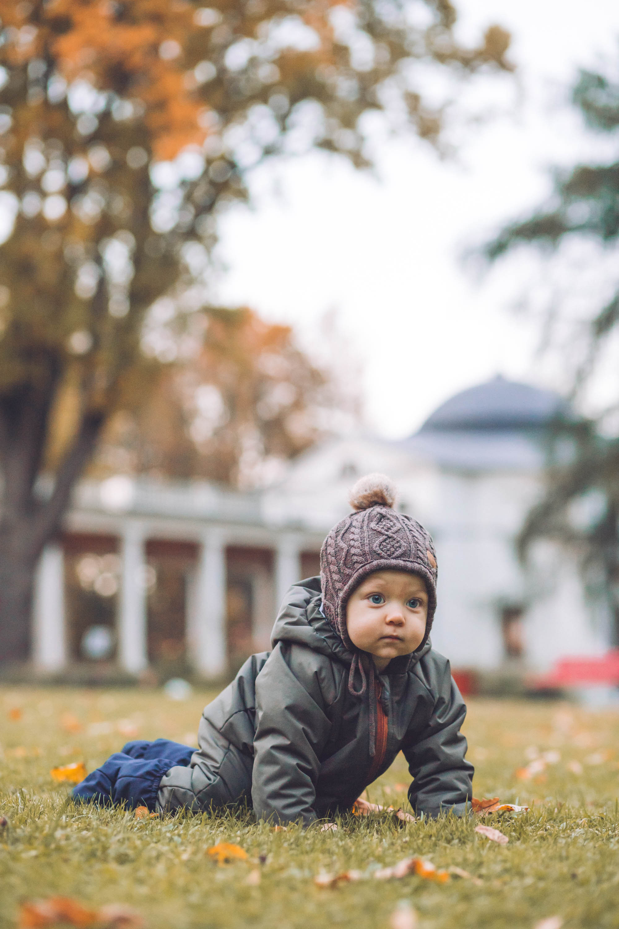Осень золотая. Фотограф — художник в Москве Васильева Юлия