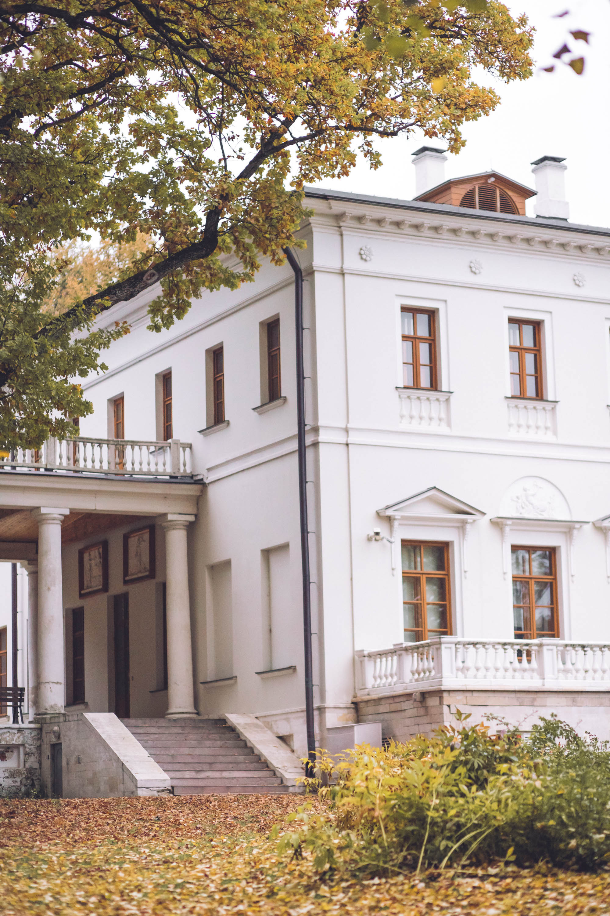 Осень золотая. Фотограф — художник в Москве Васильева Юлия