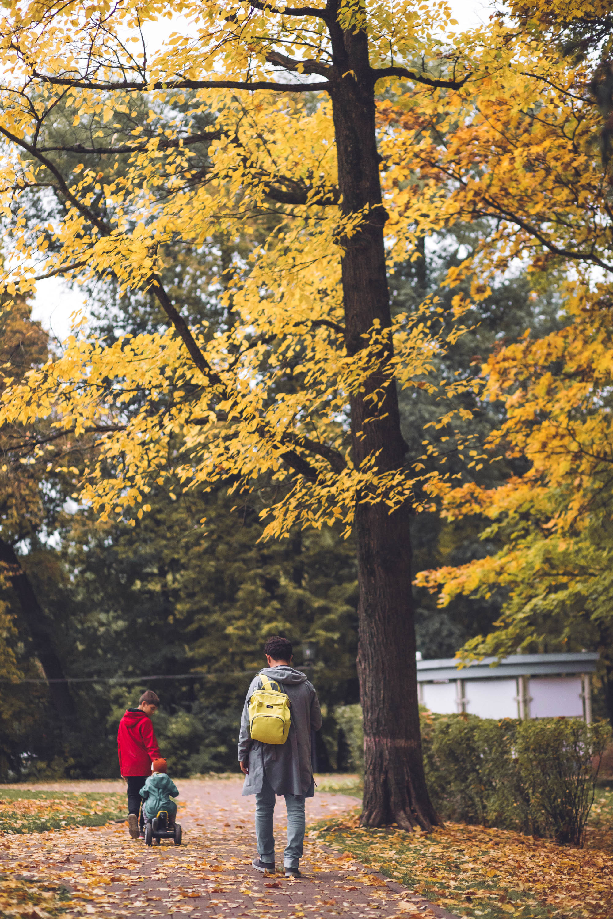Осень золотая. Фотограф — художник в Москве Васильева Юлия