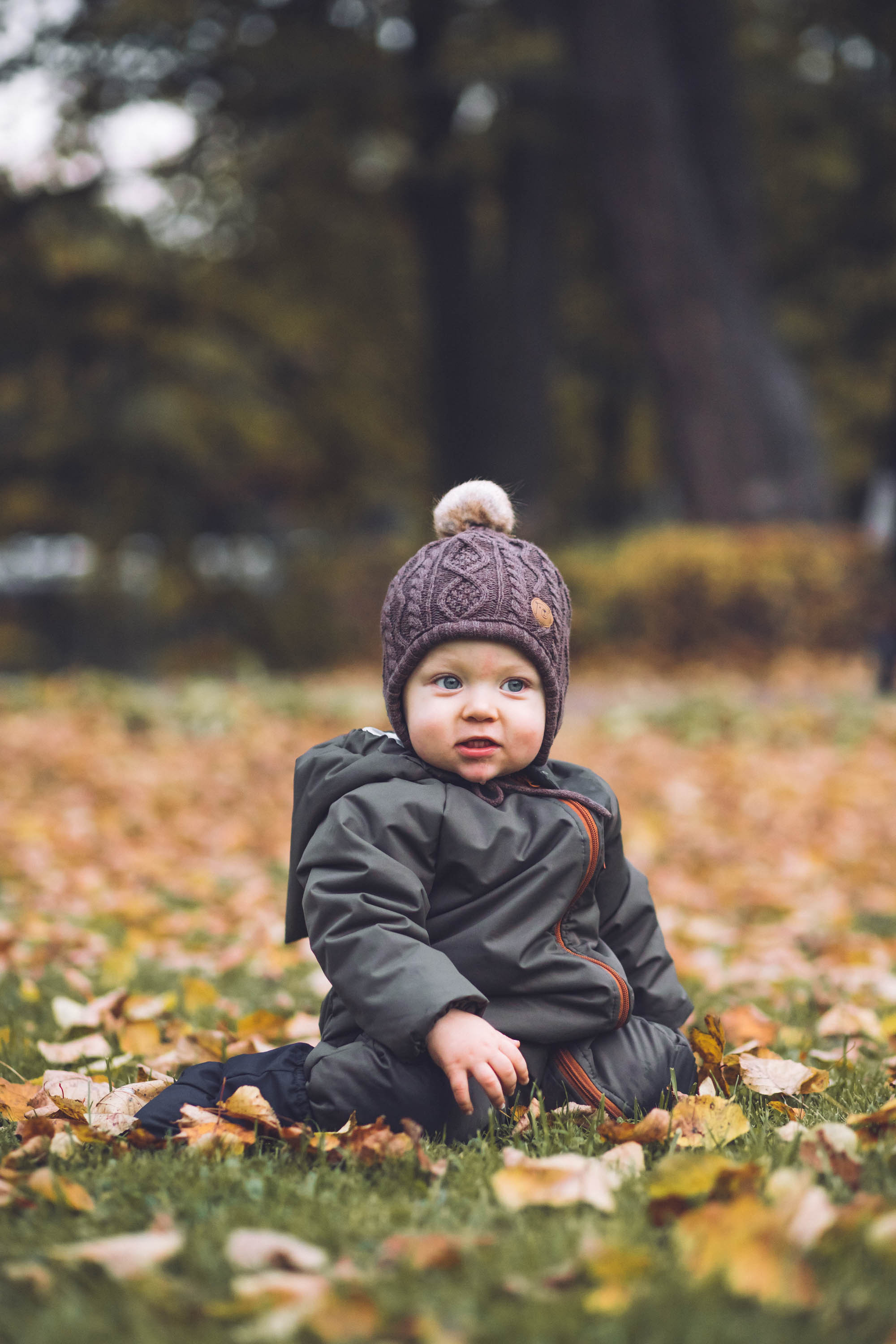 Осень золотая. Фотограф — художник в Москве Васильева Юлия