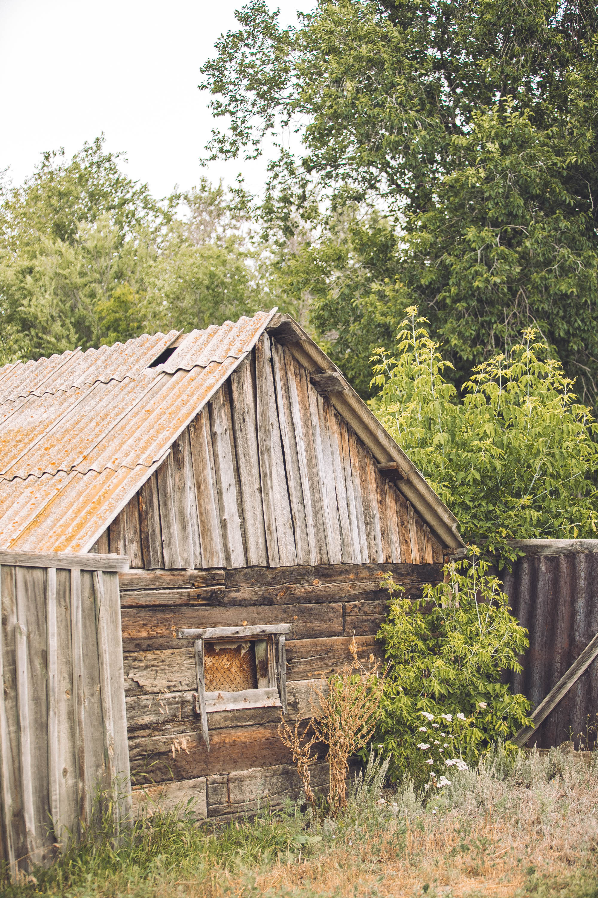 Деревенская жизнь. Фотограф — художник в Москве Васильева Юлия