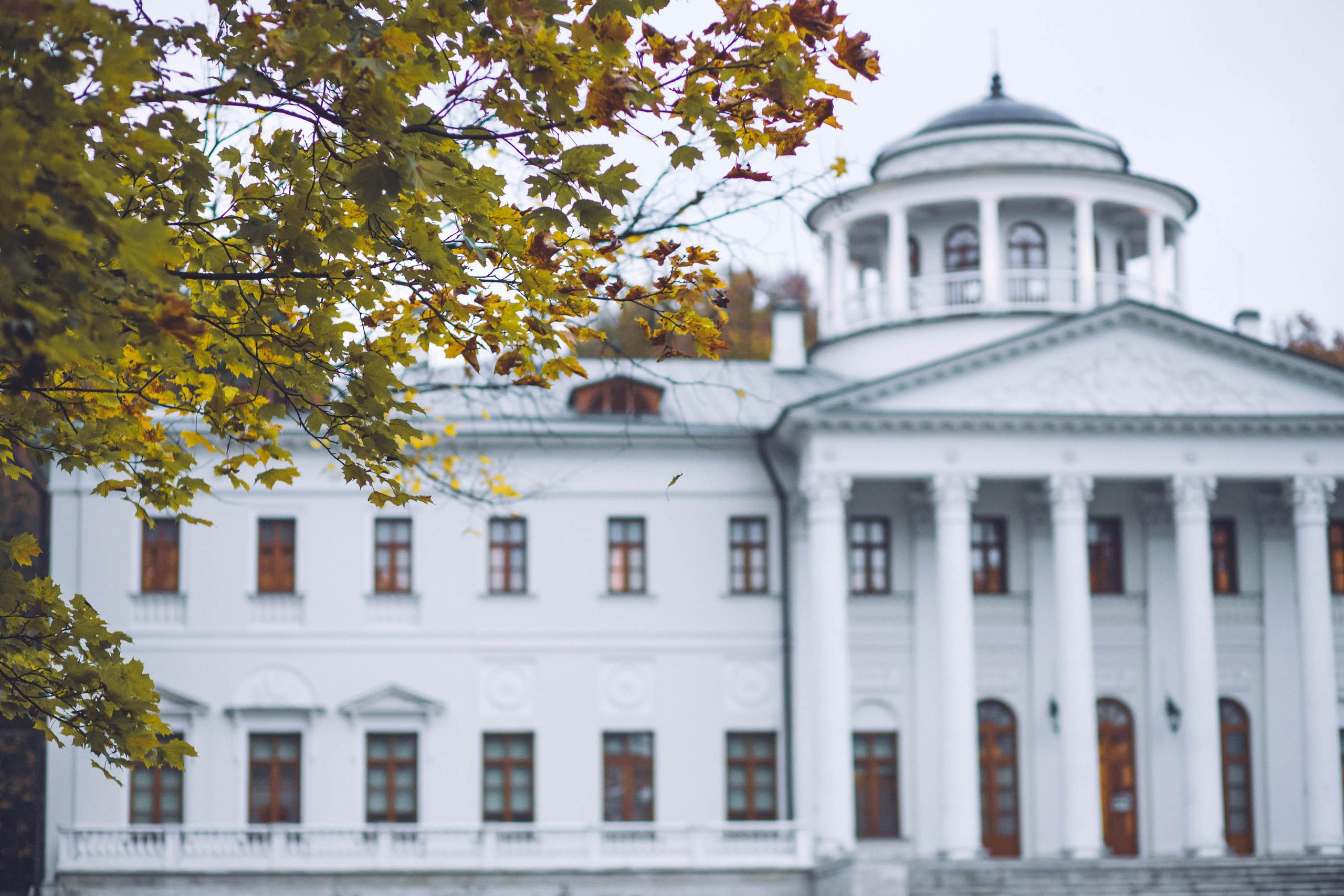 Осень золотая. Фотограф — художник в Москве Васильева Юлия