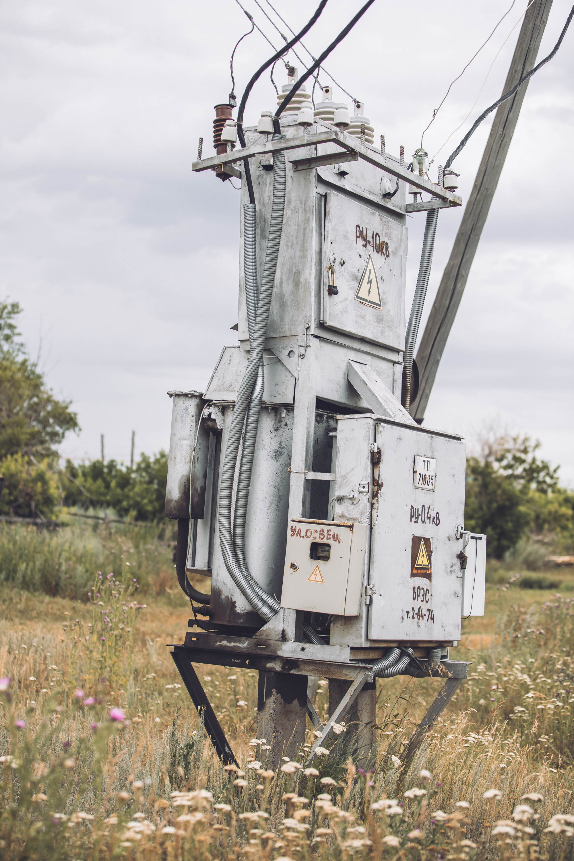Деревенская жизнь. Фотограф — художник в Москве Васильева Юлия