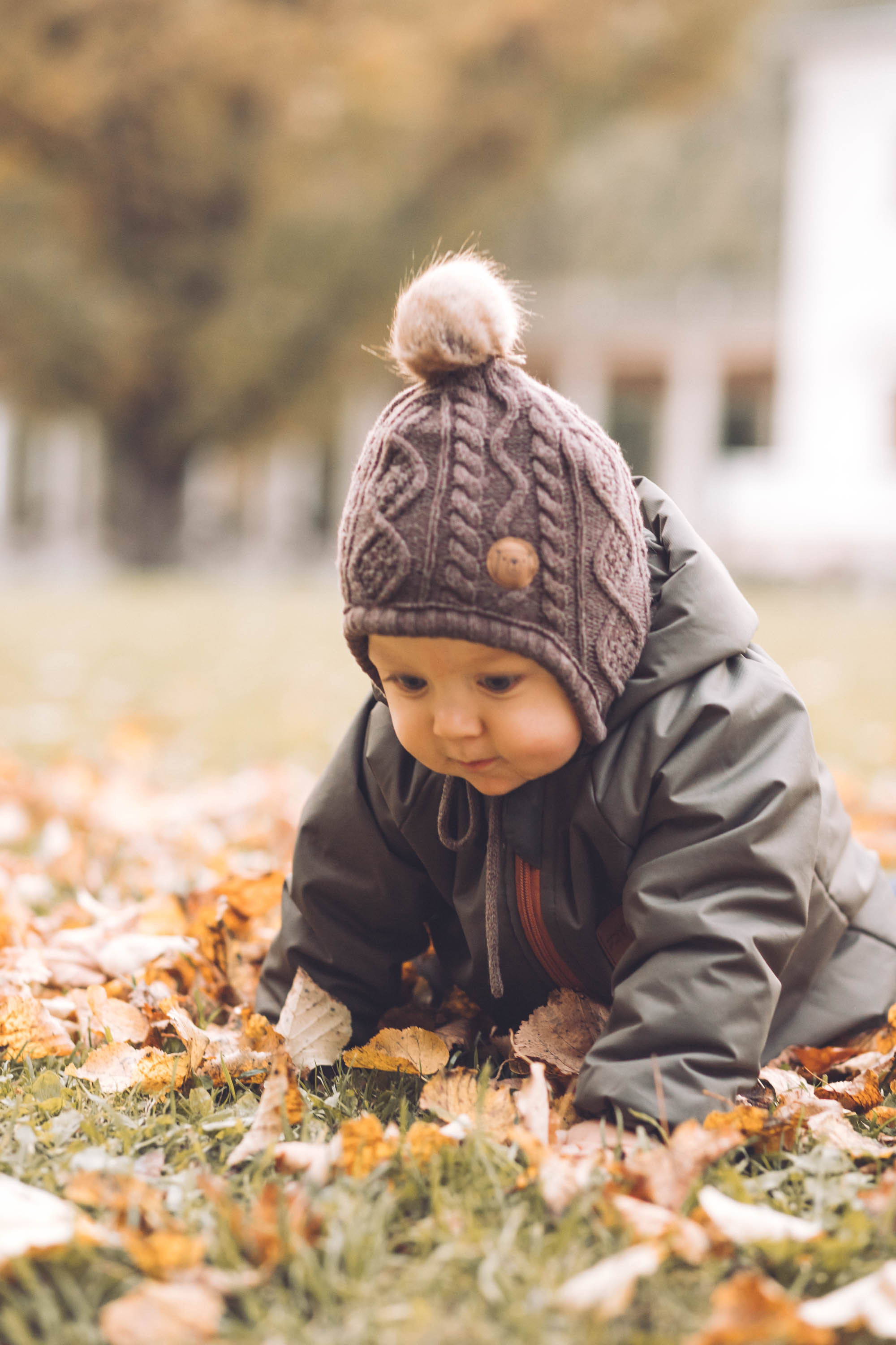 Осень золотая. Фотограф — художник в Москве Васильева Юлия