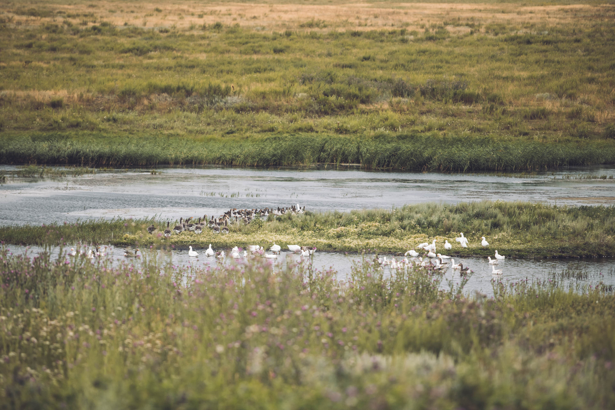Деревенская жизнь. Фотограф — художник в Москве Васильева Юлия