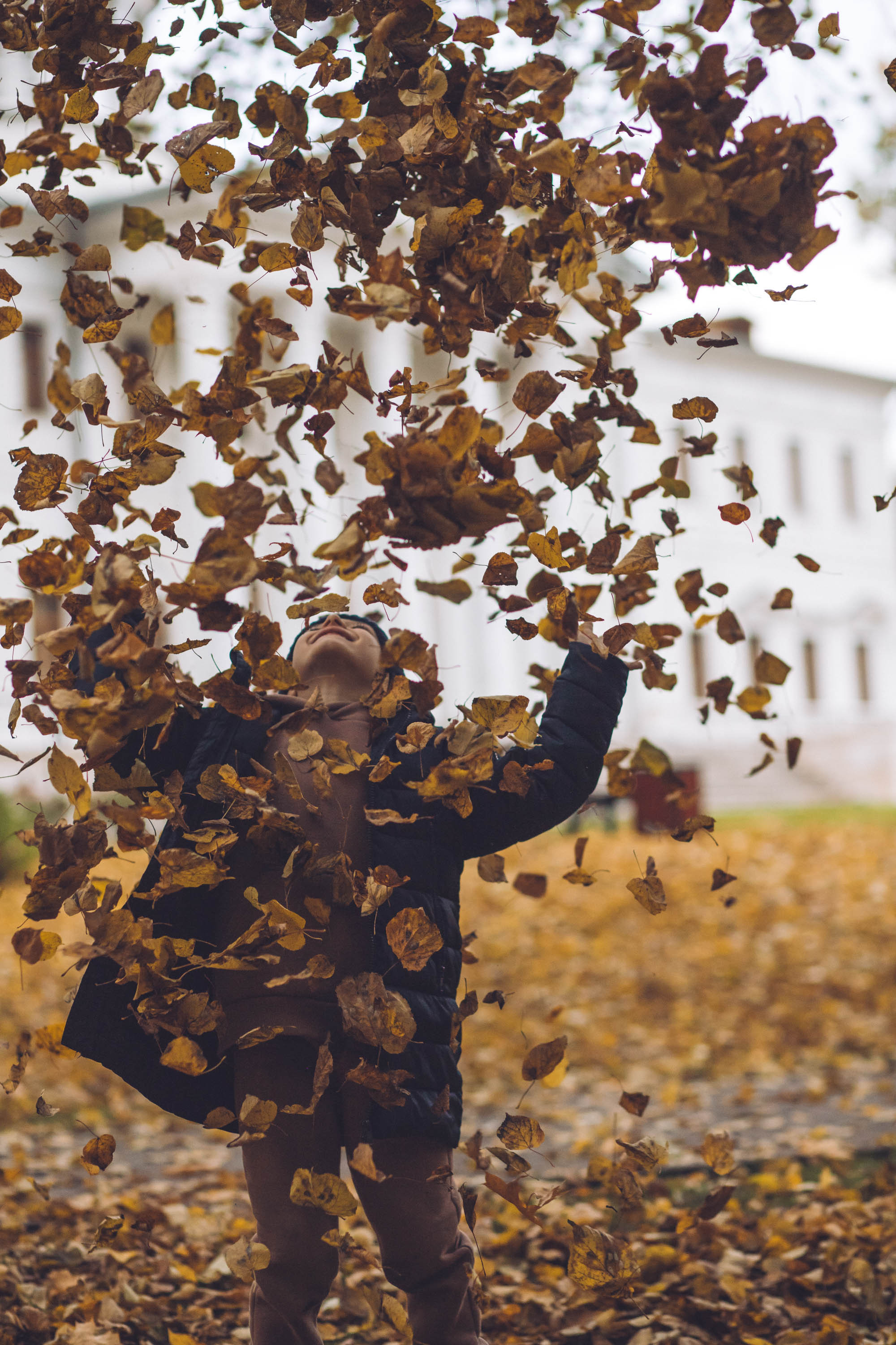 Осень золотая. Фотограф — художник в Москве Васильева Юлия