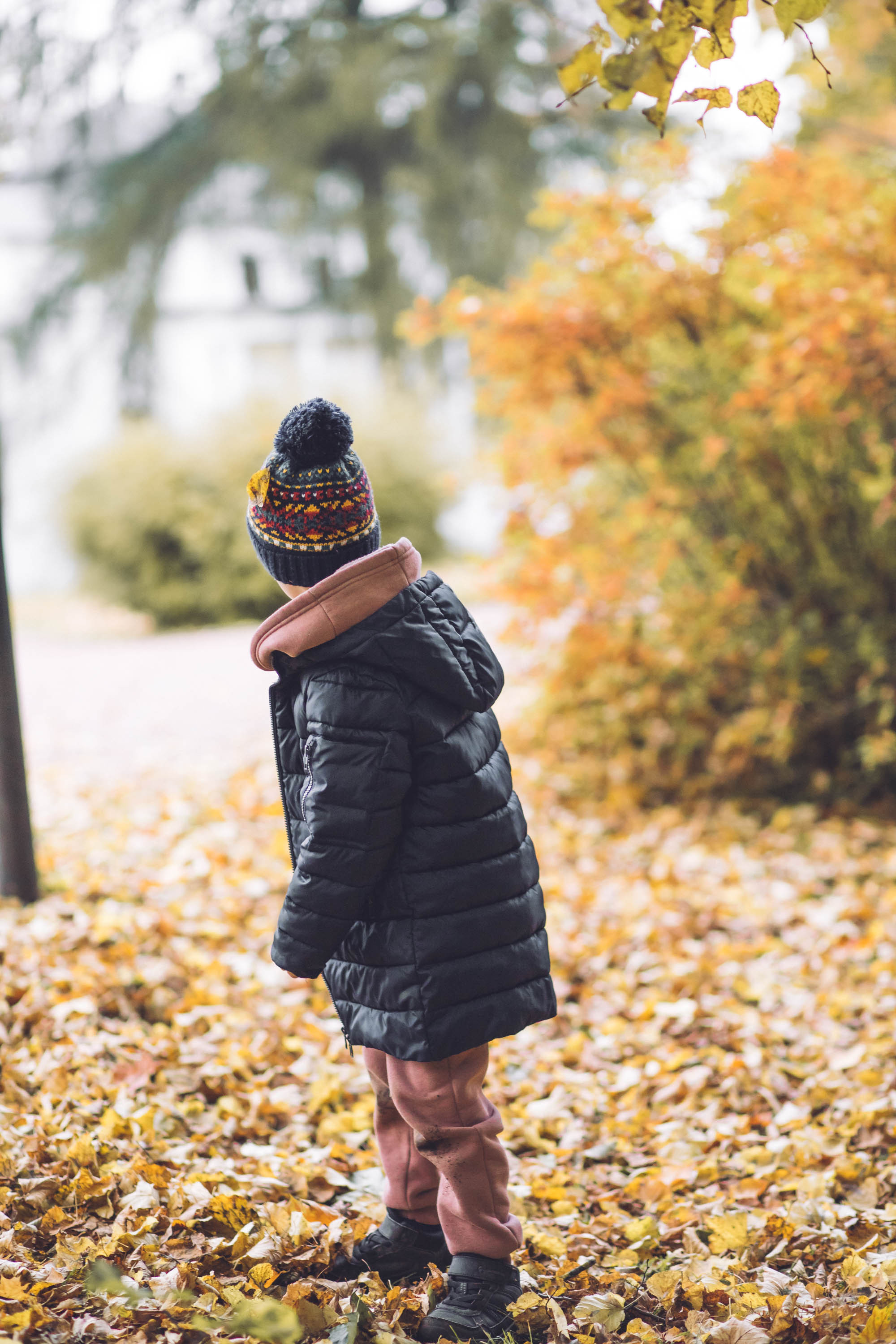 Осень золотая. Фотограф — художник в Москве Васильева Юлия