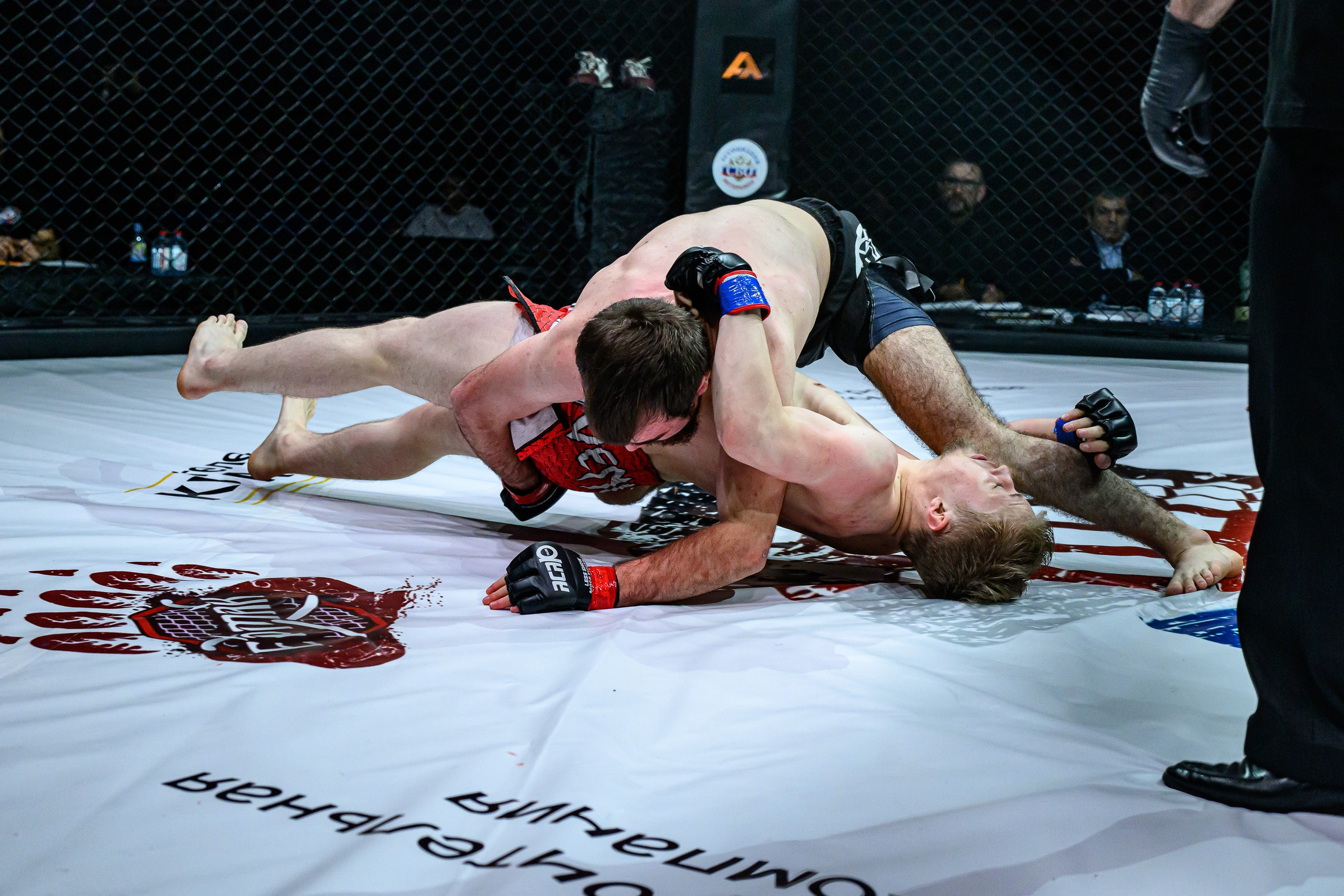 Фотосъемка профессионального турнира по смешанным единоборствам. Профессиональная фотосъемка. Ростов-на-Дону