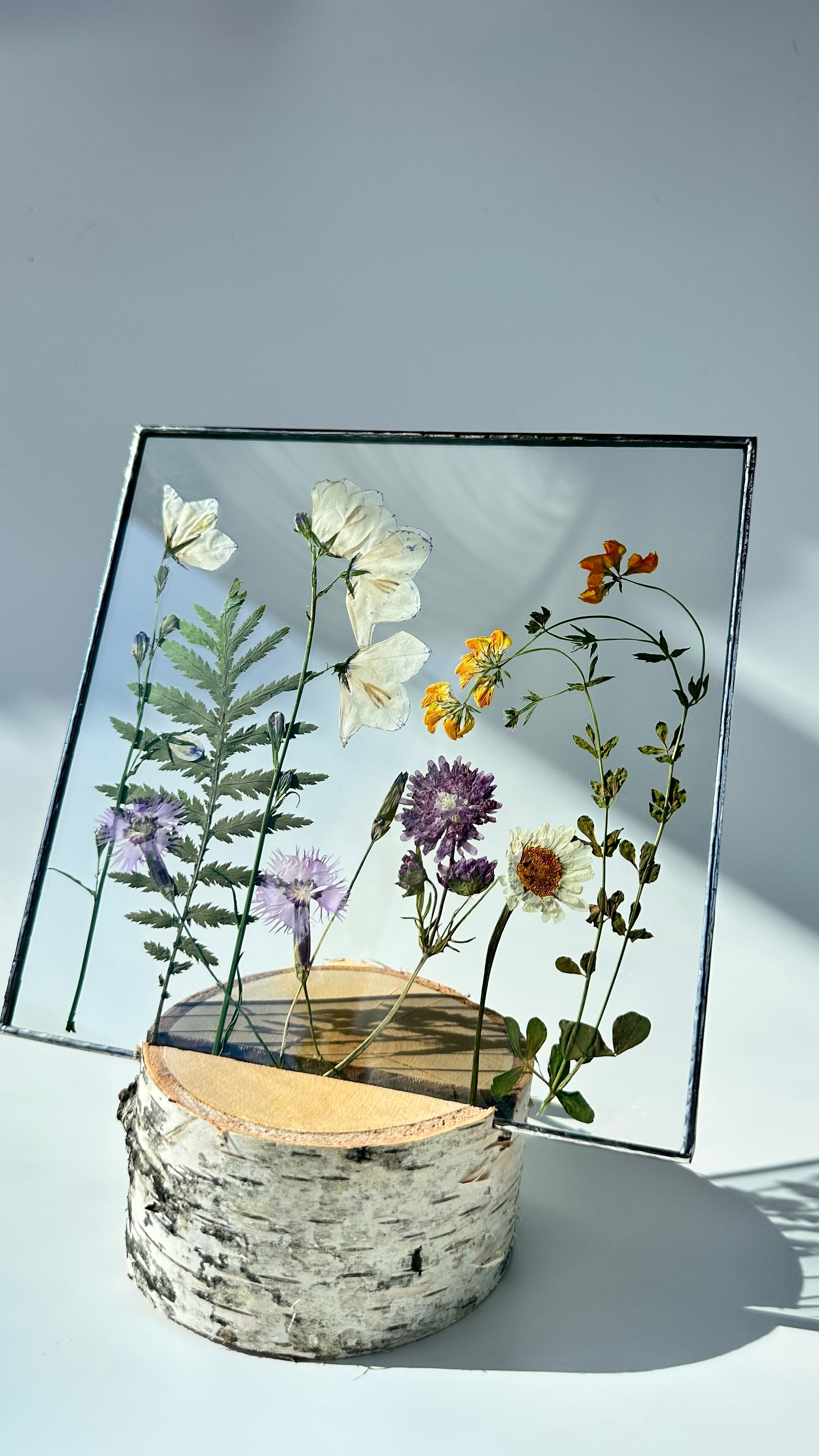 Колокольчики, гвоздики, ромашка Квадрат 20 см. Оформляю пространства. Витражи с сухоцветами в технике Тиффани