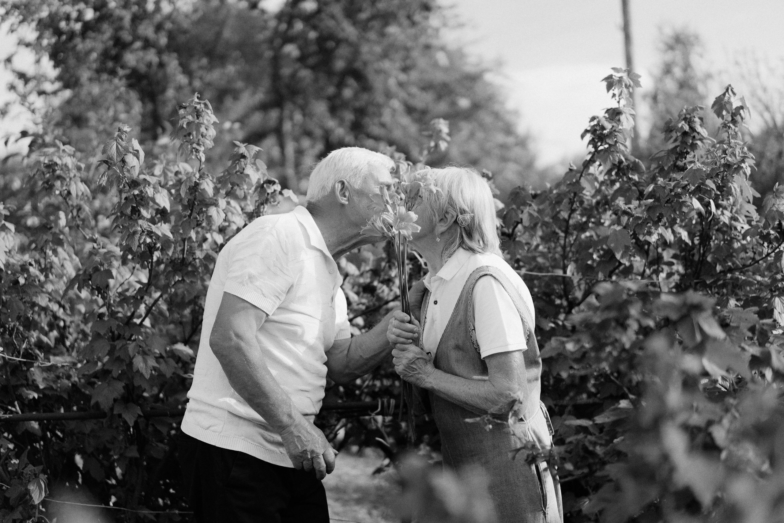 Услуги. Главная