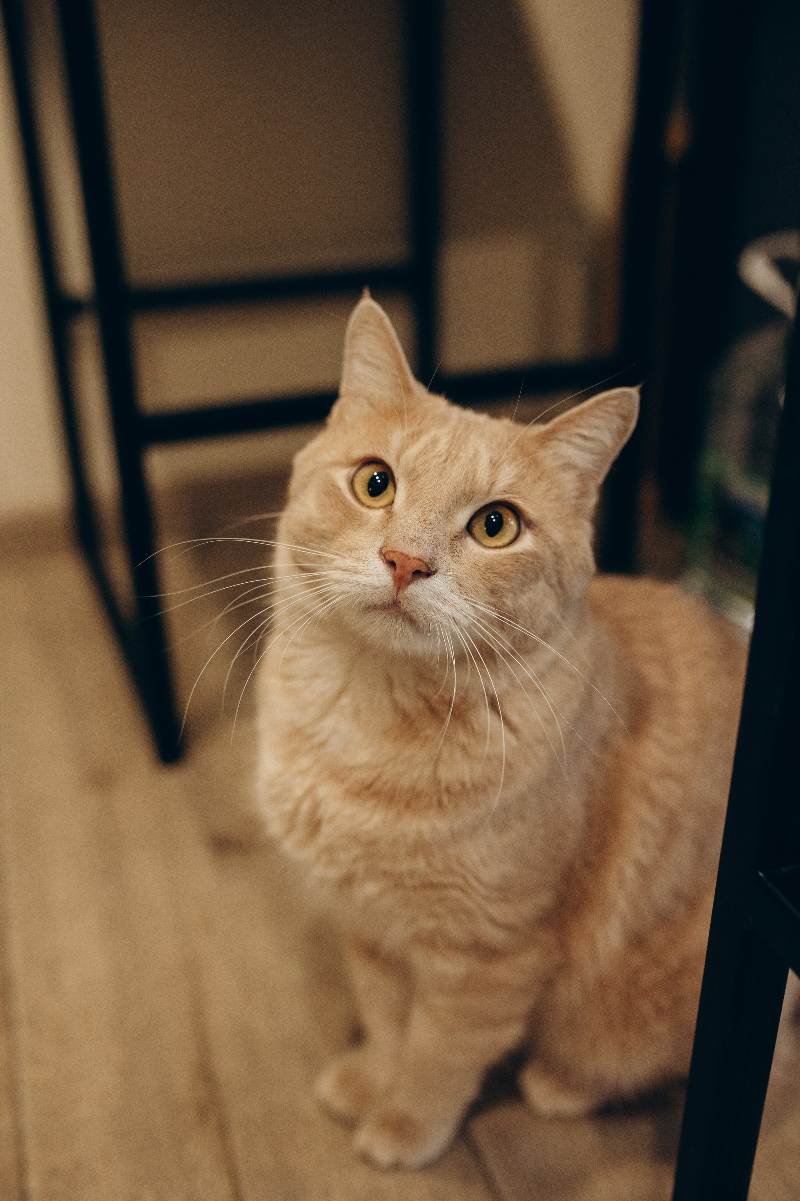 Фотосессии. Фотограф Владивосток | Фотокниги на заказ с доставкой по всей России