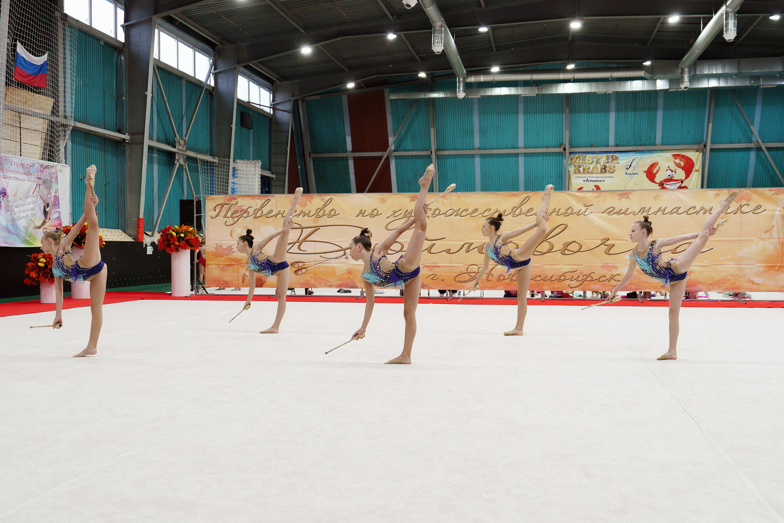 XII городские соревнования по художественной гимнастике «ДЮЙМОВОЧКА». Фотомастерская Воробьевых