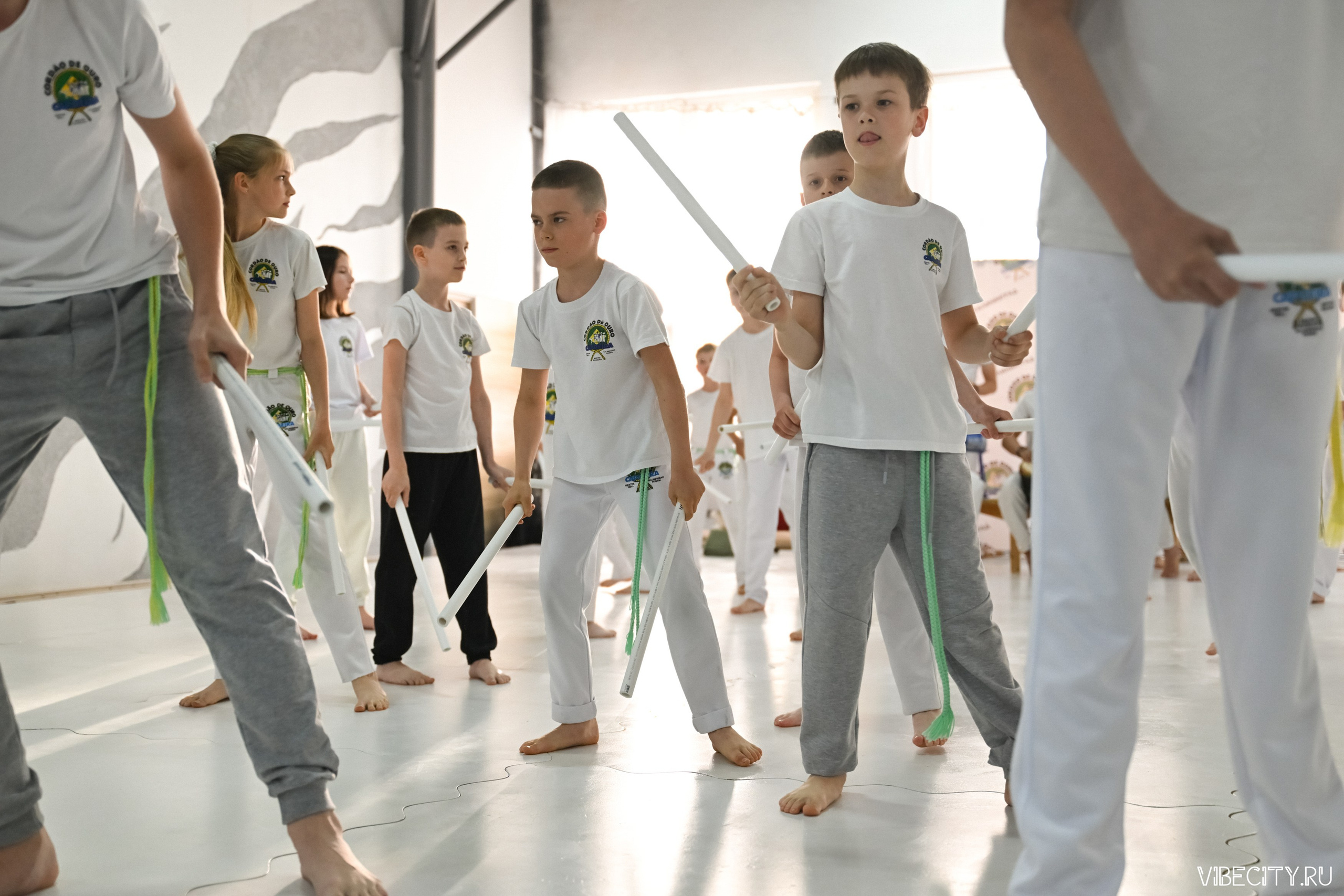 Capoeira: 4-е batizado e Troca de cordao. VIBECITY.RU Вайб Сити Ру Фоторепортажи Фотоотчеты Калининград