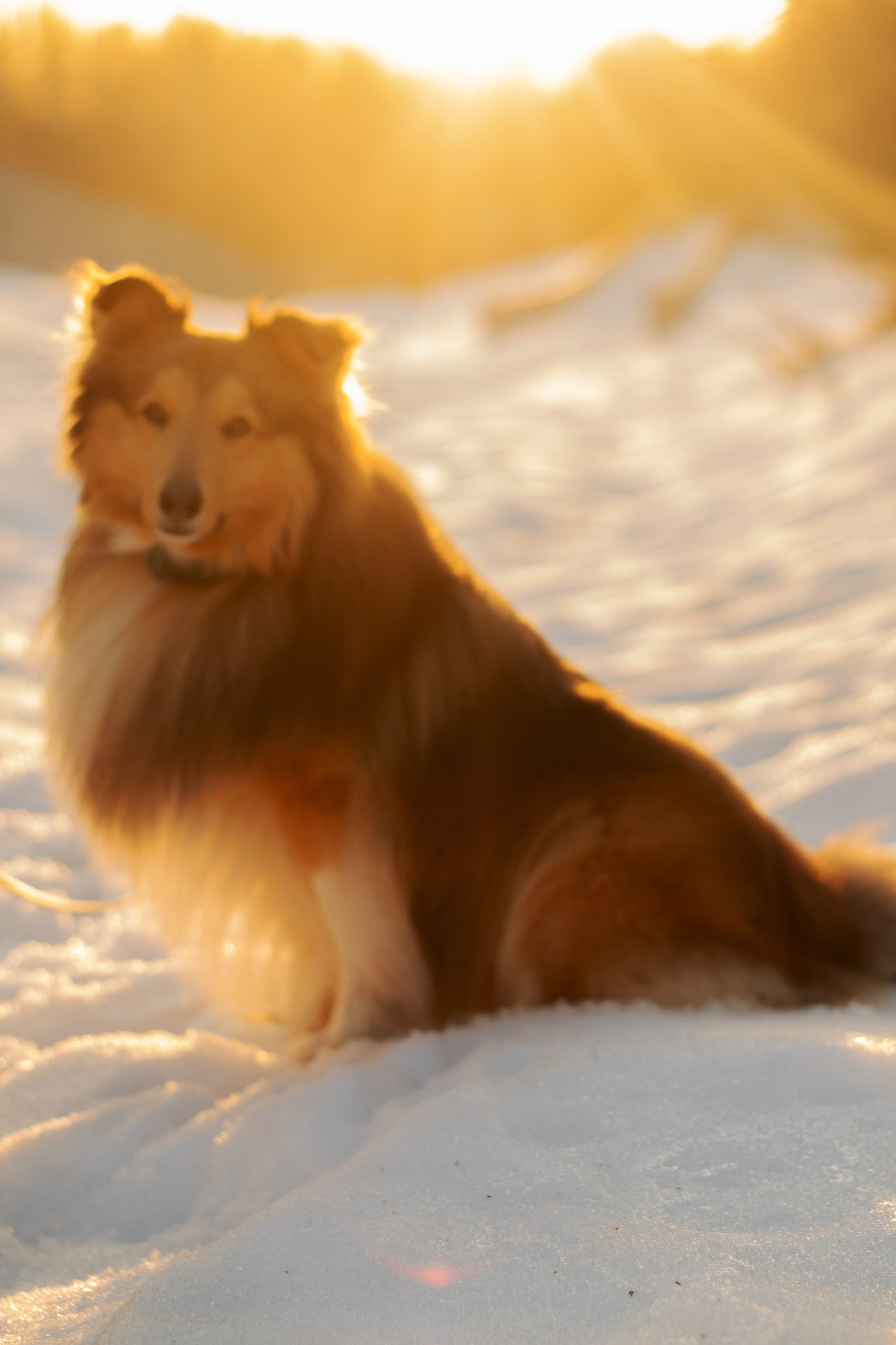 Катя Попова|ЛайфСтайл фотограф