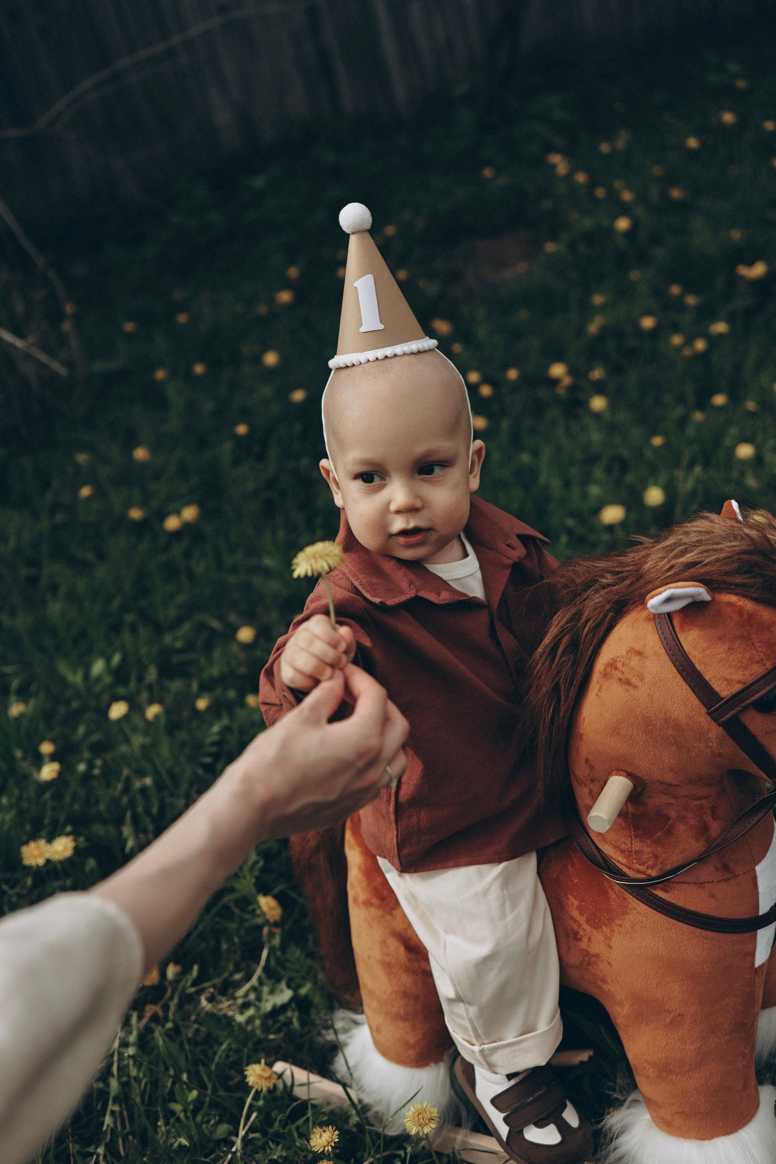 Юлия Кондратьева, ваш семейный фотограф