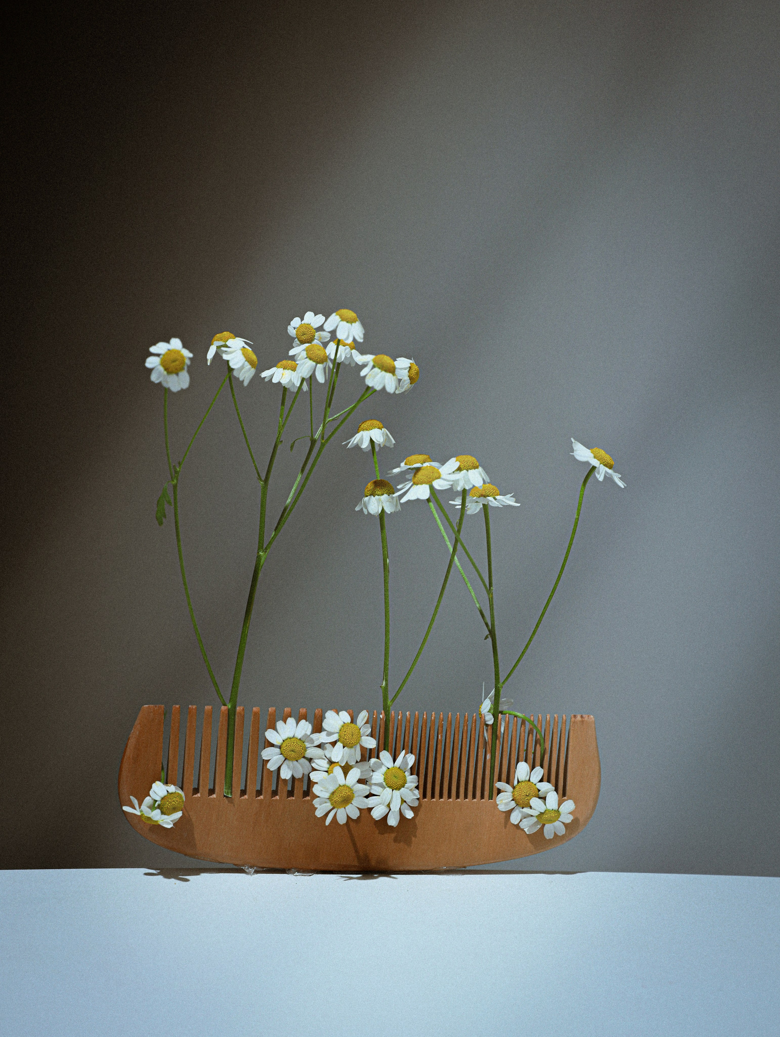 Фотограф Елена Пилиева